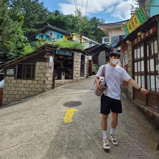 스타일 카드