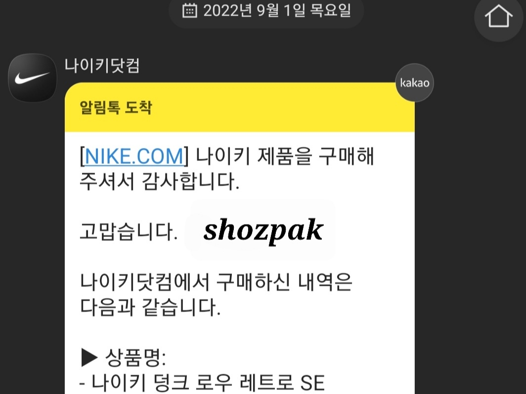 Nike Dunk Low Retro SE Jackpot Malachite 착용 스타일