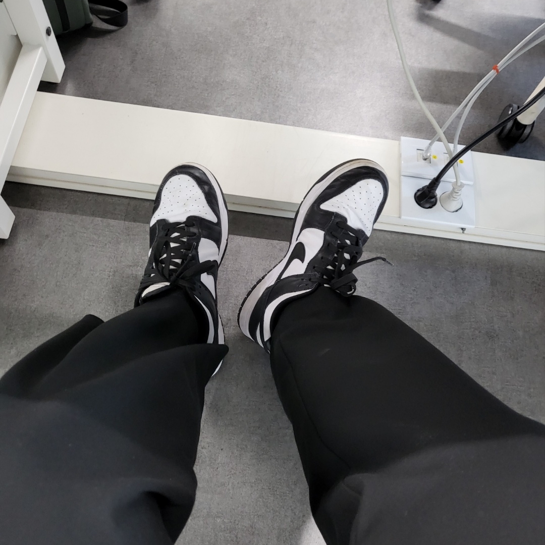Nike Dunk Low Retro Black 착용 스타일