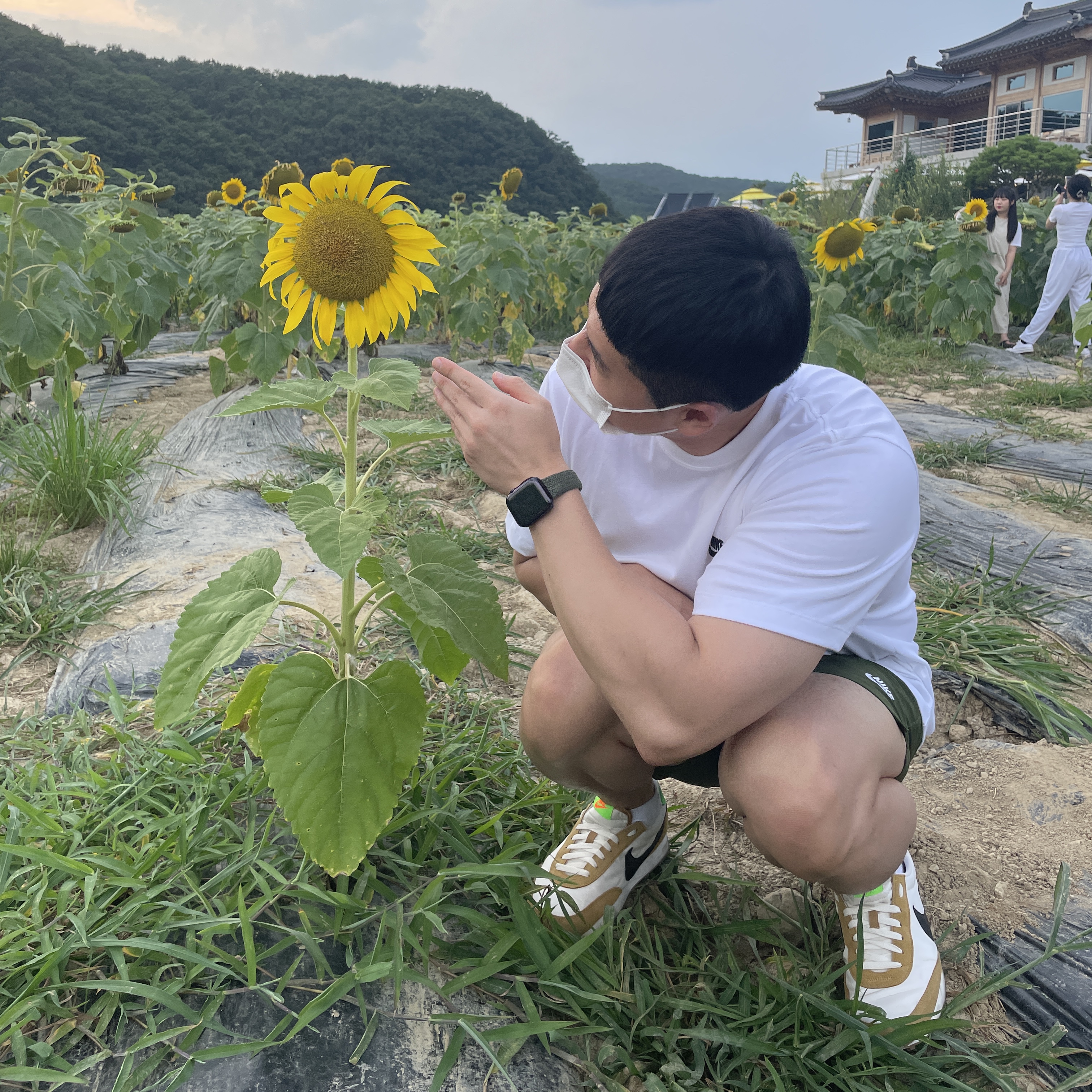 (W) Nike Daybreak Wheat, Apple Watch Nike SE 44mm GPS Space Gray Aluminum Case with Nike Sport Band Anthracite Black (Korean Ver.) 착용 스타일