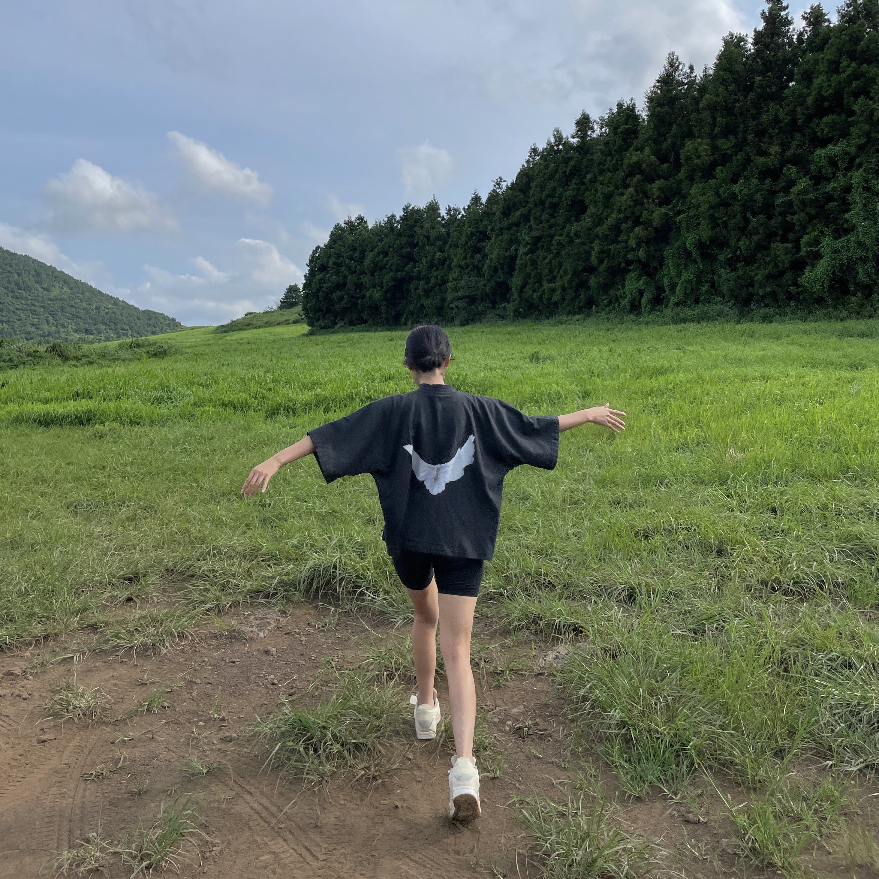 ์์
์ด๋ฏธ์ง