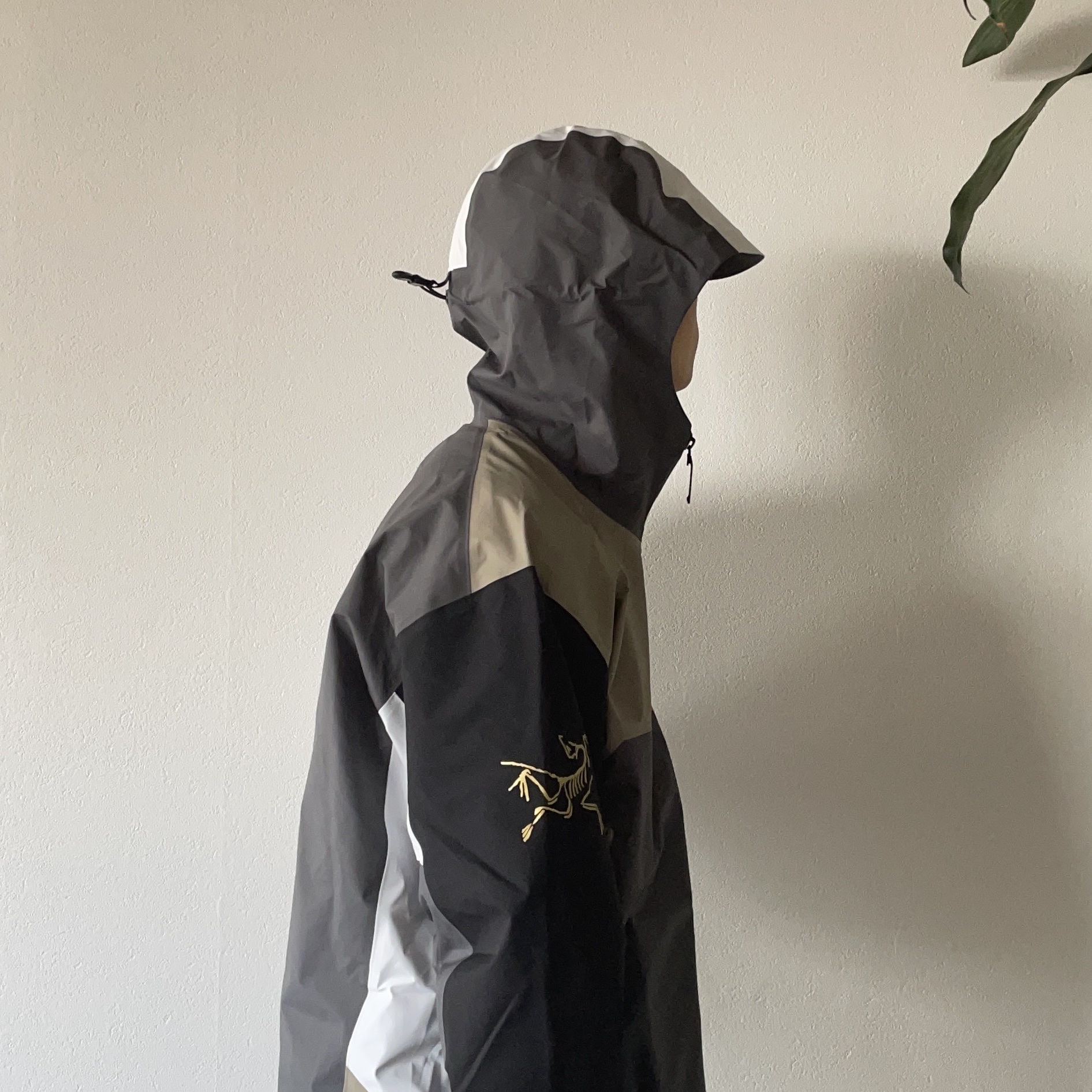 Arc'teryx x Beams Dimensions Beta Jacket Multi, Keen Shanti Black Dawn Blue 착용 스타일 - 2