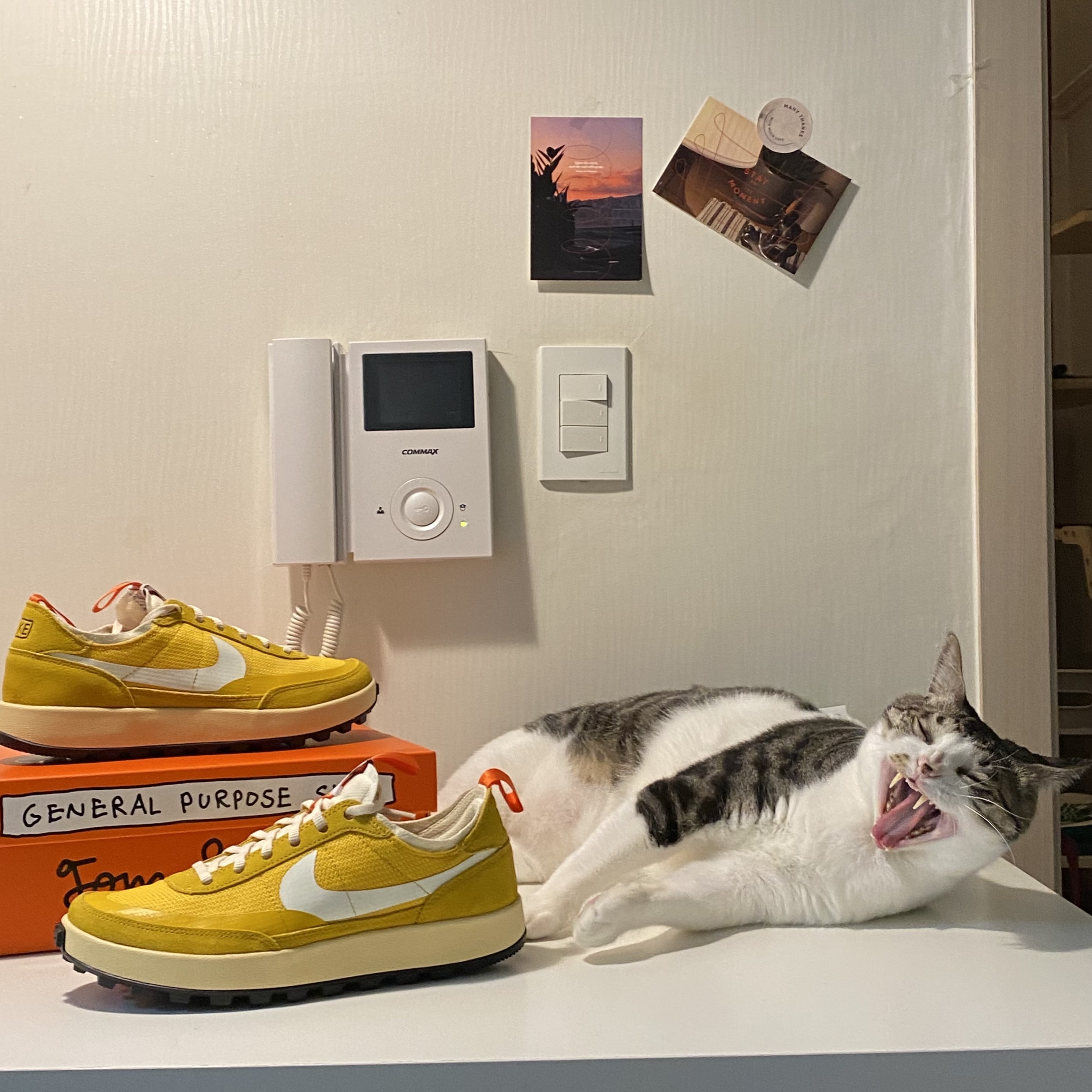 Nike x Tom Sachs General Purpose Shoe Archive 착용 스타일 - 1