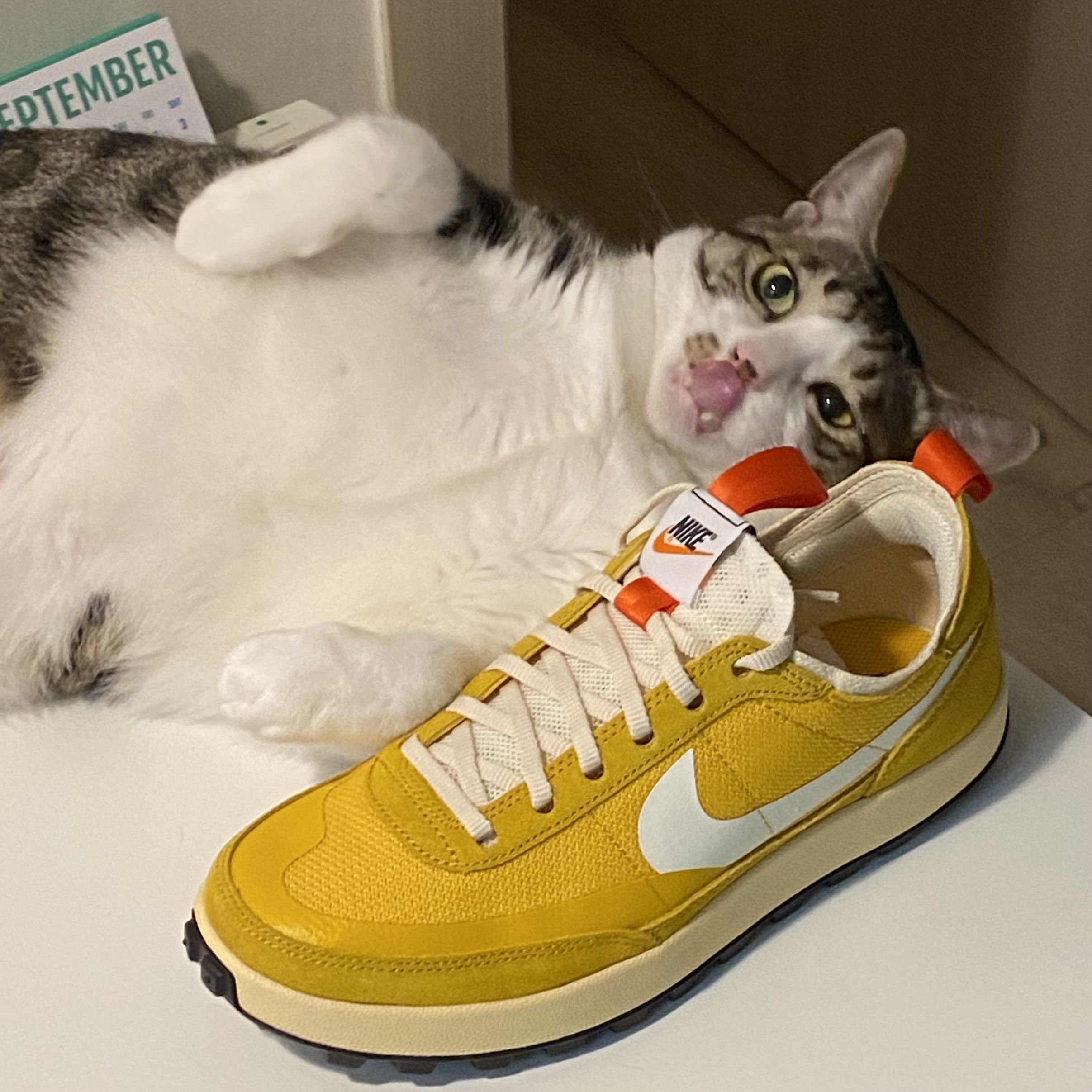Nike x Tom Sachs General Purpose Shoe Archive 착용 스타일 - 3