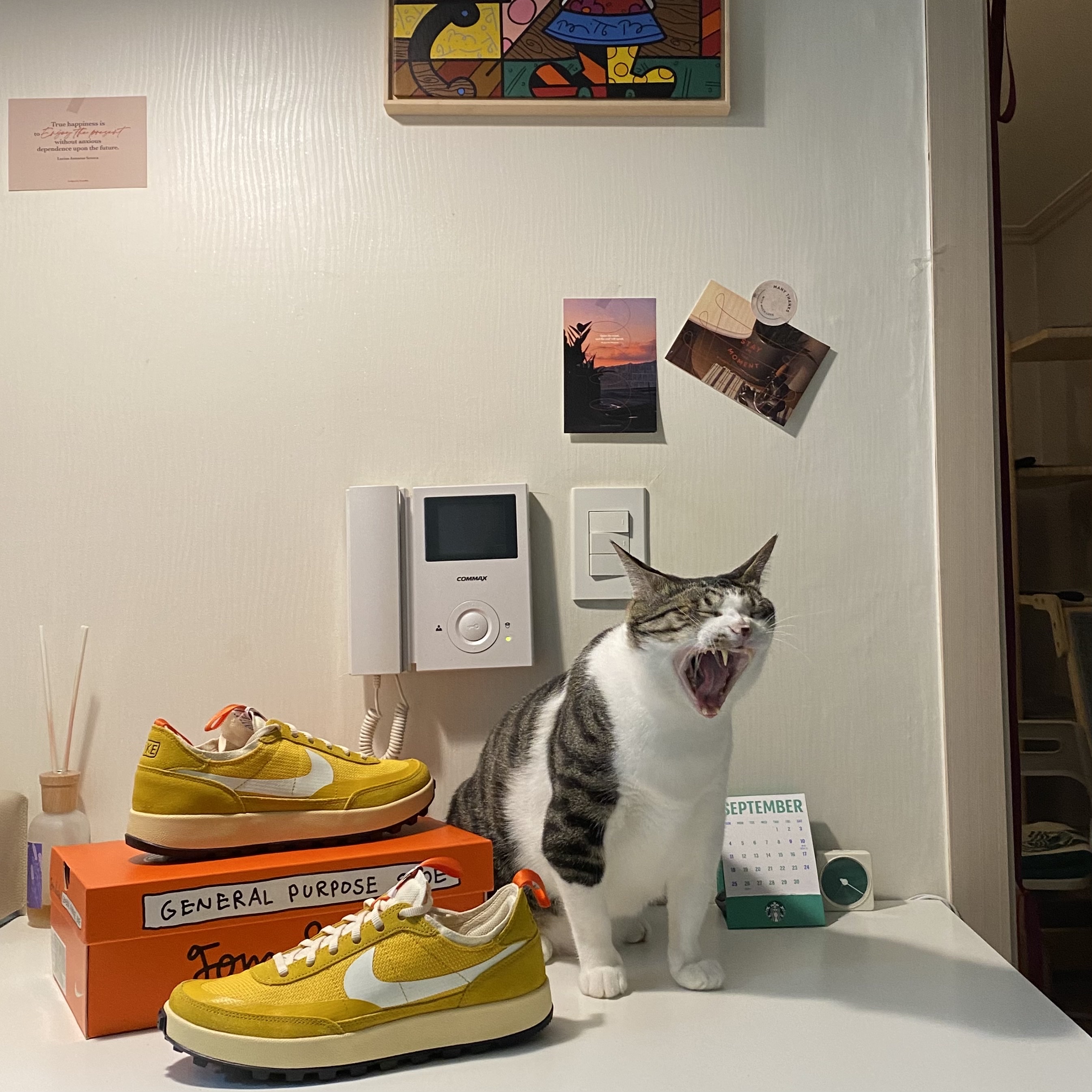 Nike x Tom Sachs General Purpose Shoe Archive 착용 스타일 - 4