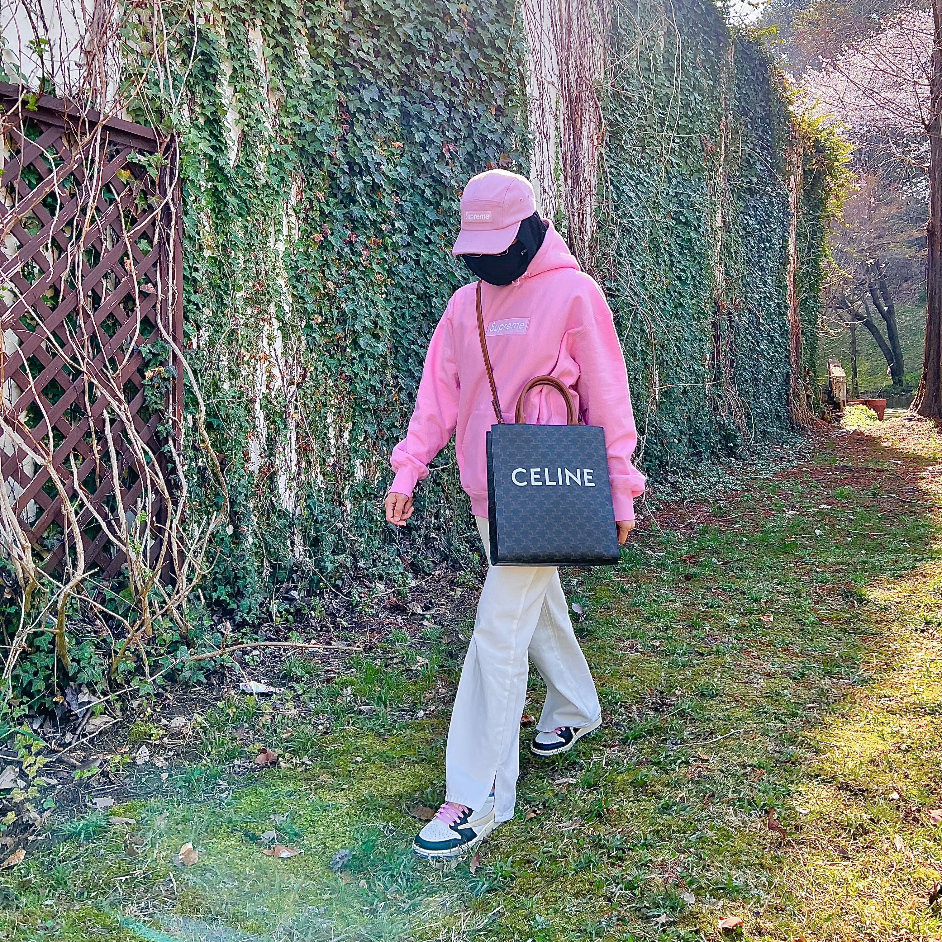 Celine Small Cabas Vertical in Triomphe Canvas Calfskin Tan, Supreme Box Logo Hooded Sweatshirt Pink - 21FW 착용 스타일