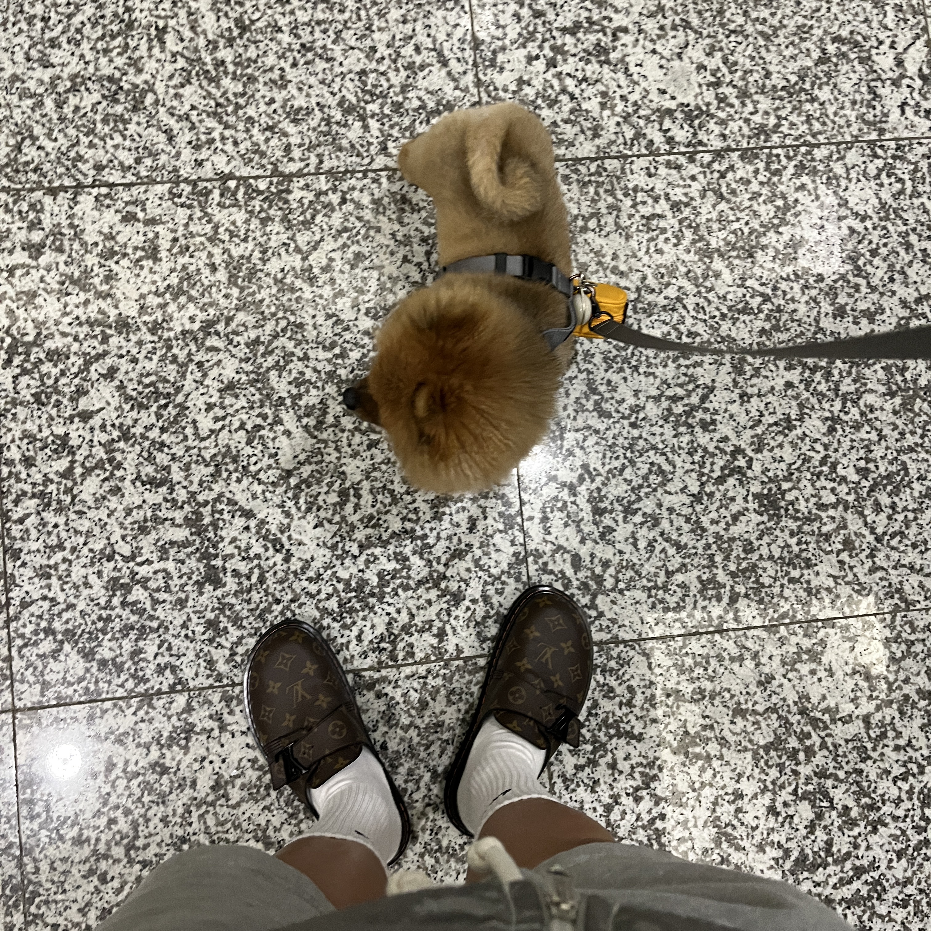 Louis Vuitton LV Easy Mule Monogram 착용 스타일 - 1