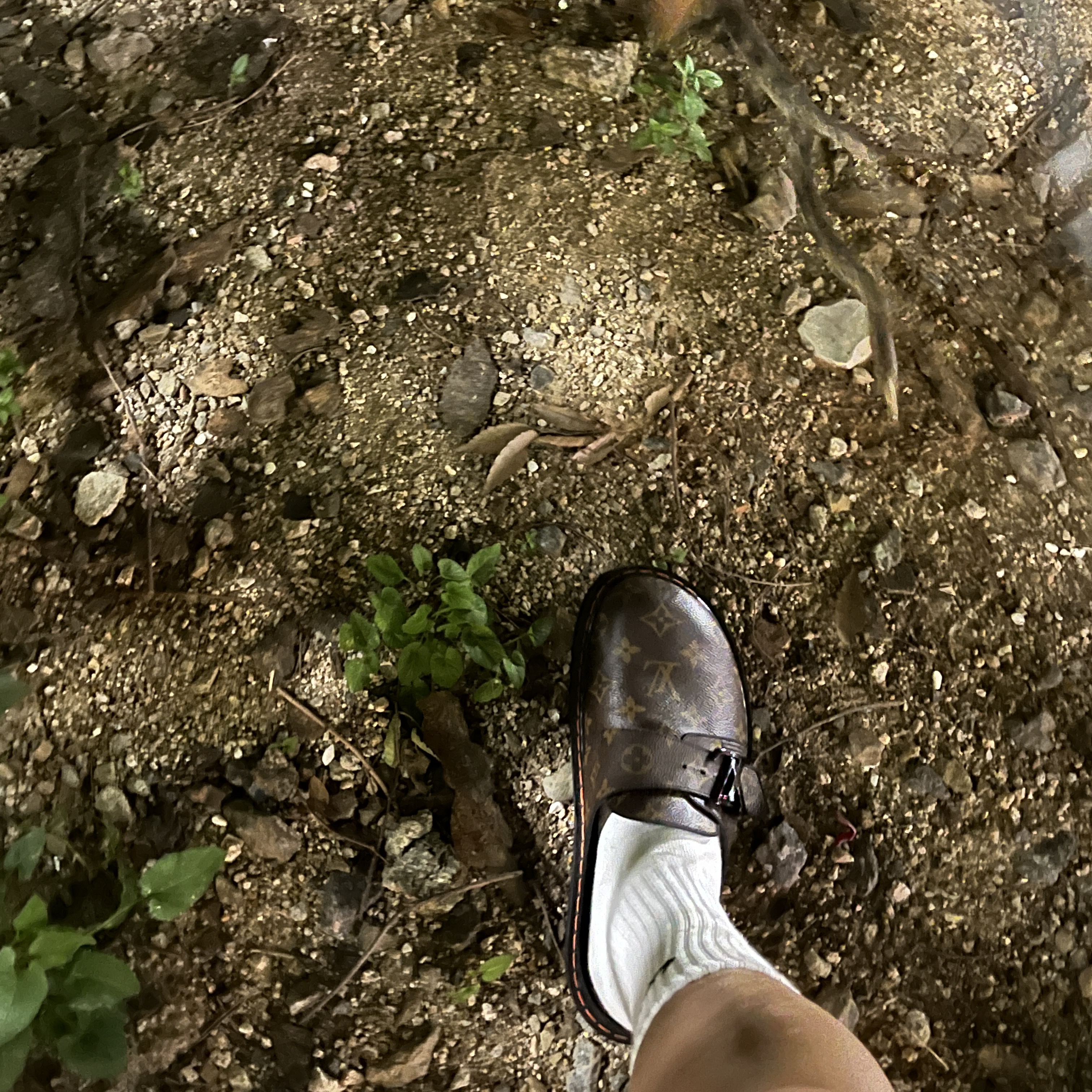 Louis Vuitton LV Easy Mule Monogram 착용 스타일 - 2