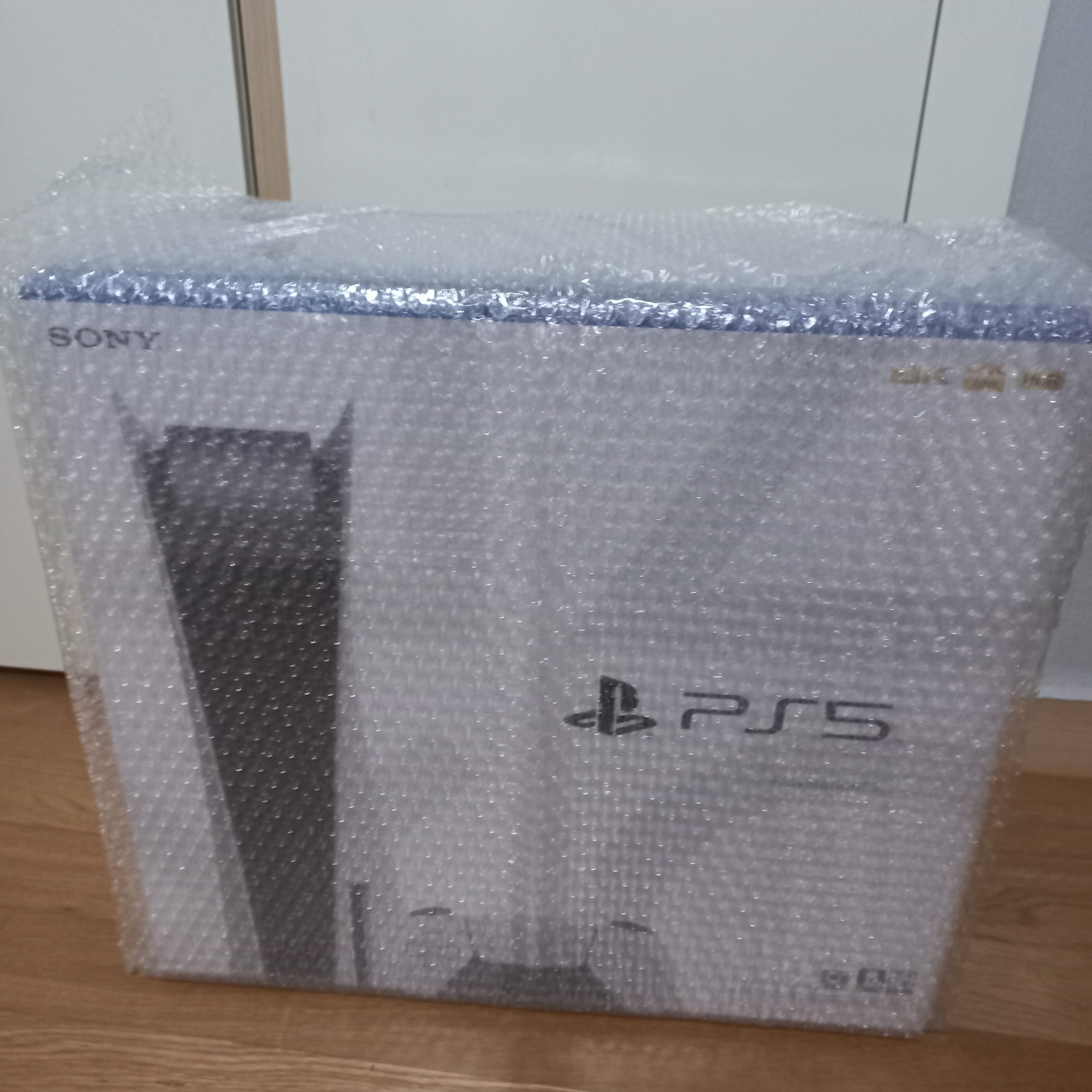 Playstation 5 Blu-ray Edition (SIEK 220V) 착용 스타일