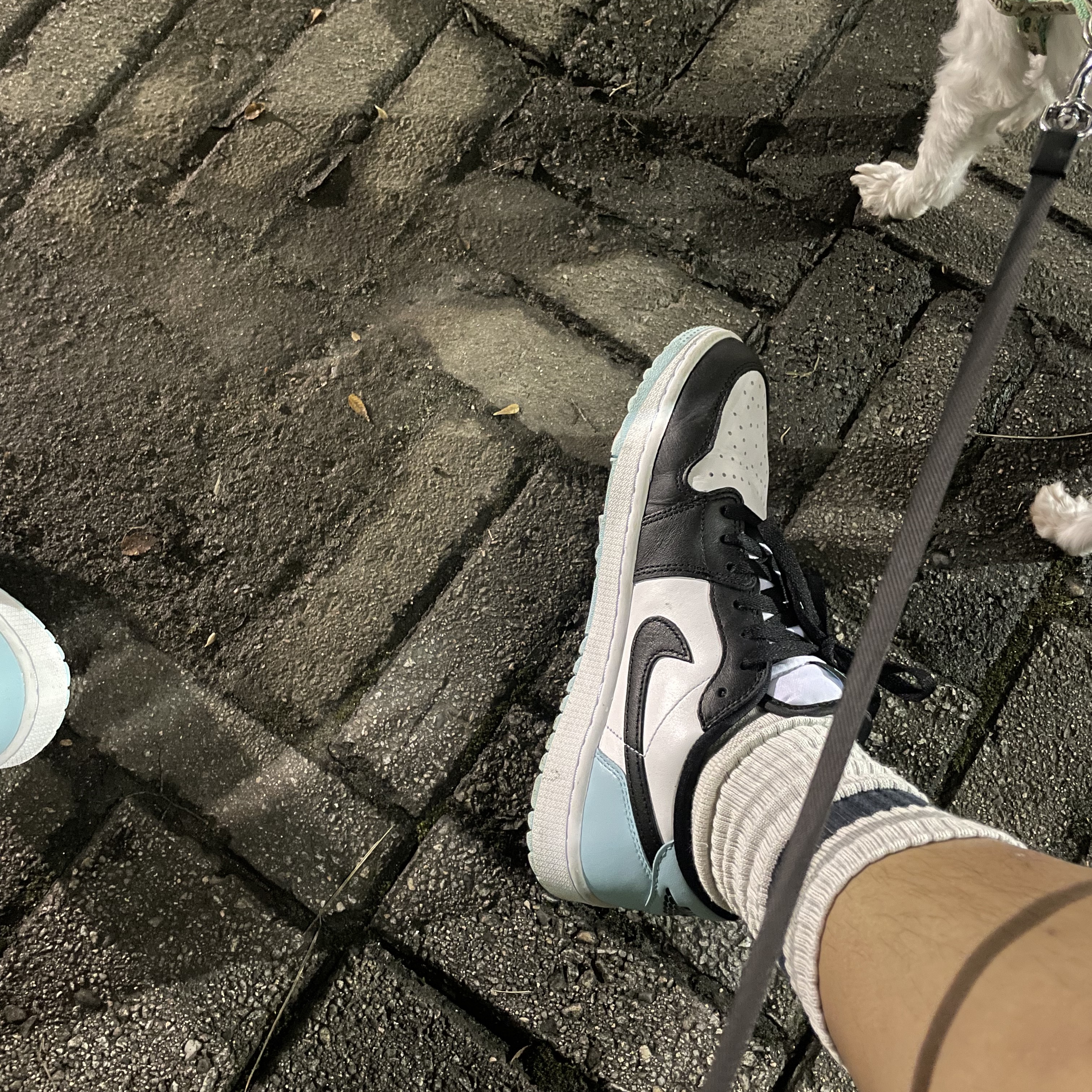Jordan 1 Low Golf Copa 착용 스타일 - 2
