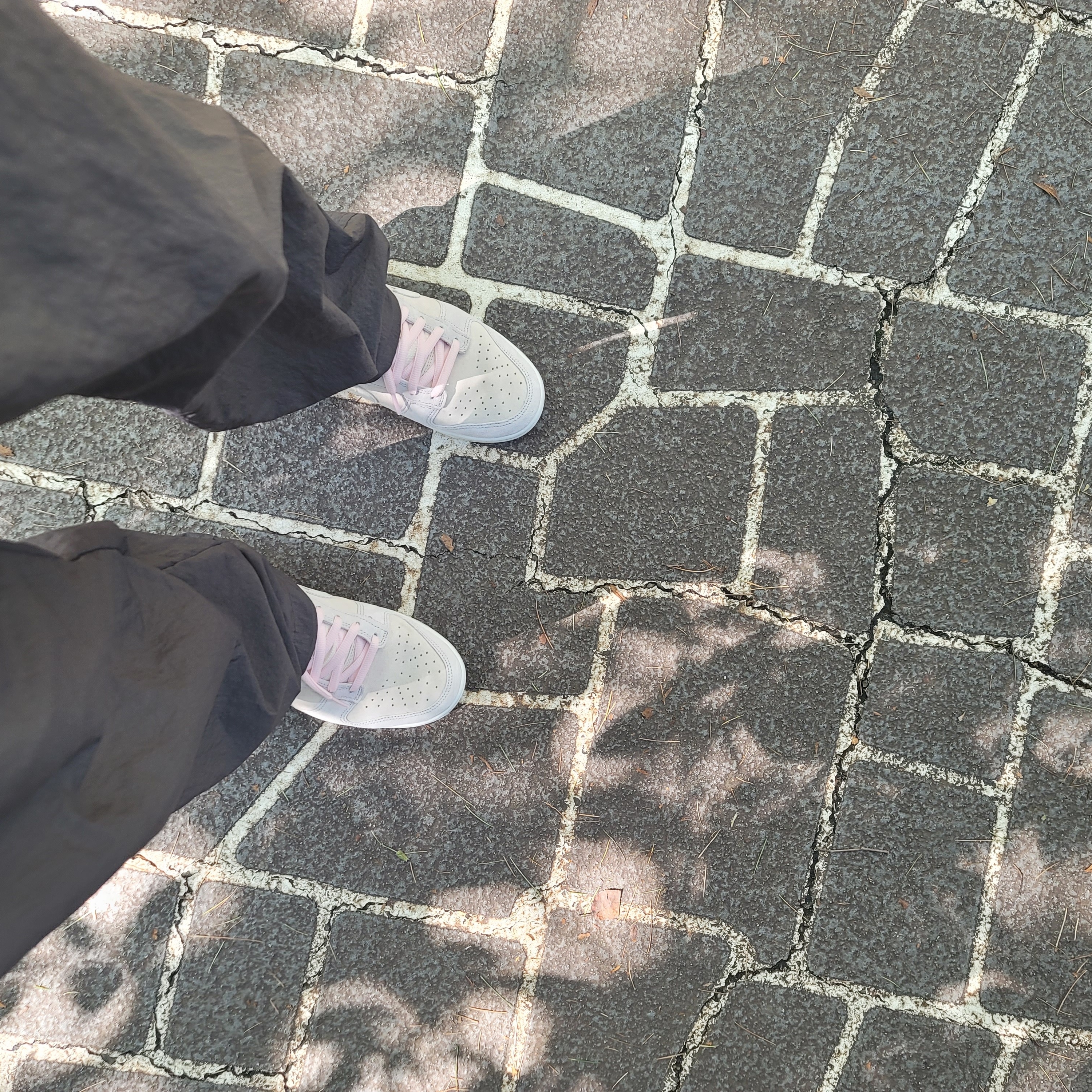 Nike Dunk Low Retro PRM Vast Grey 착용 스타일