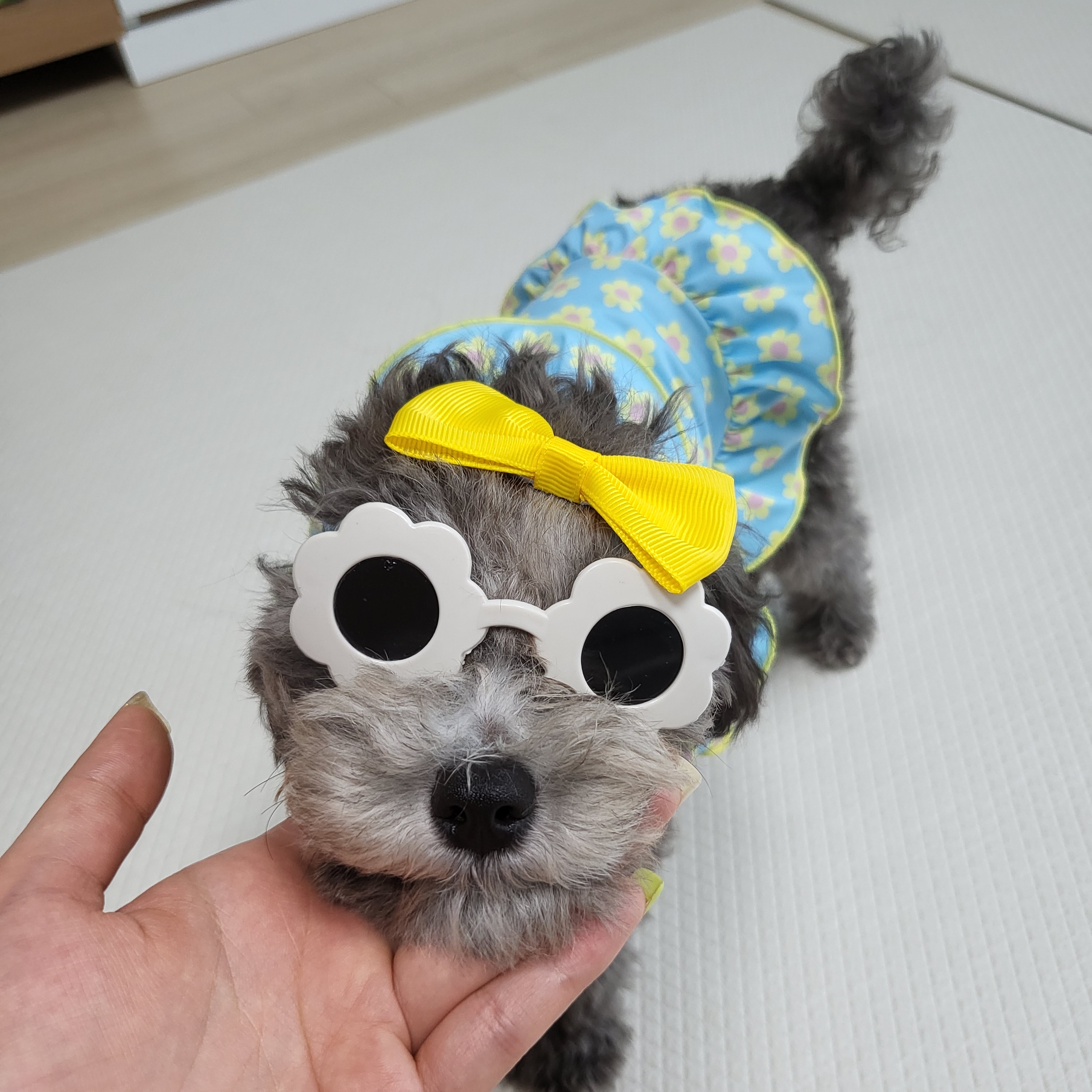 달이님의 스타일 - 3