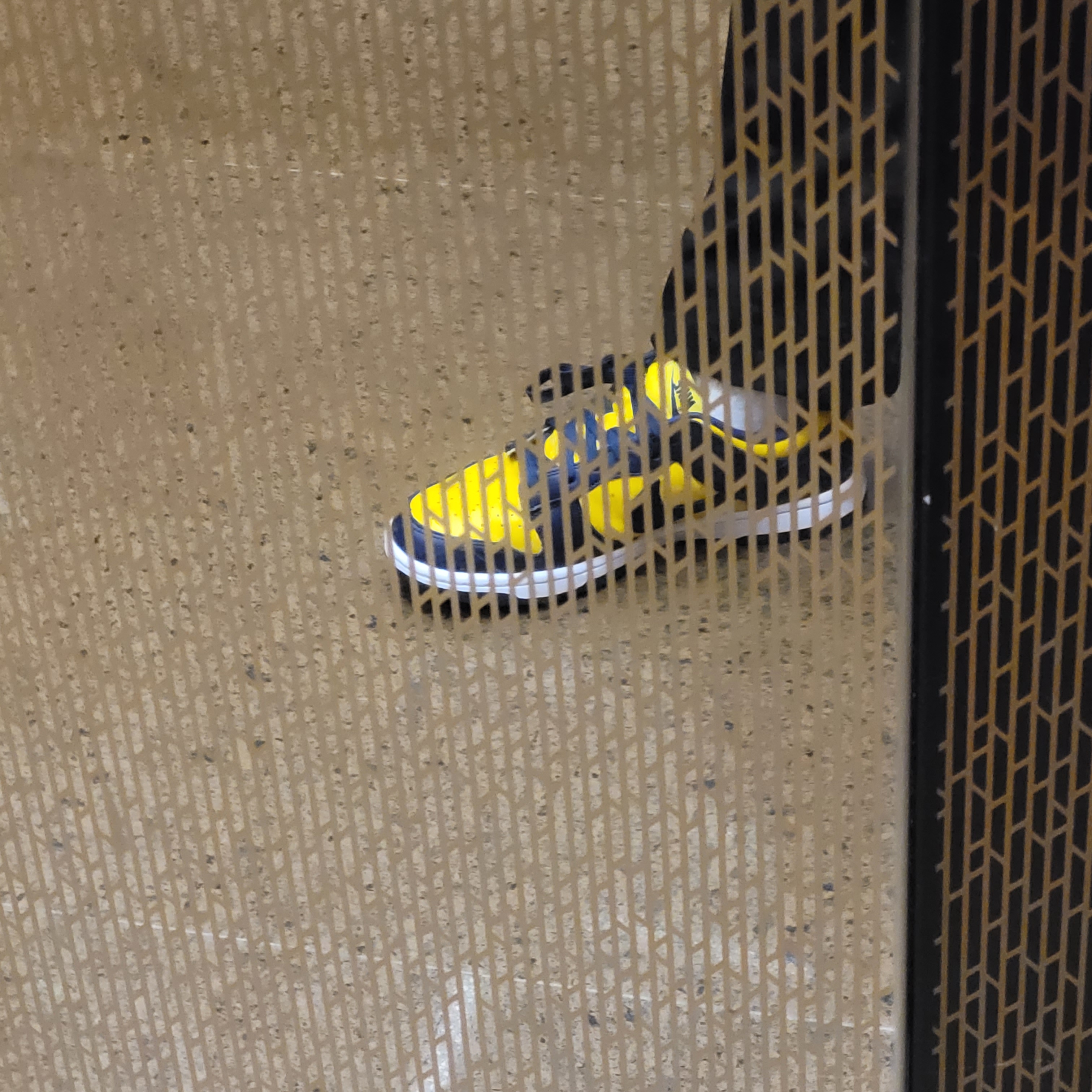Nike Dunk Low Retro Varsity Maize 착용 스타일 - 1