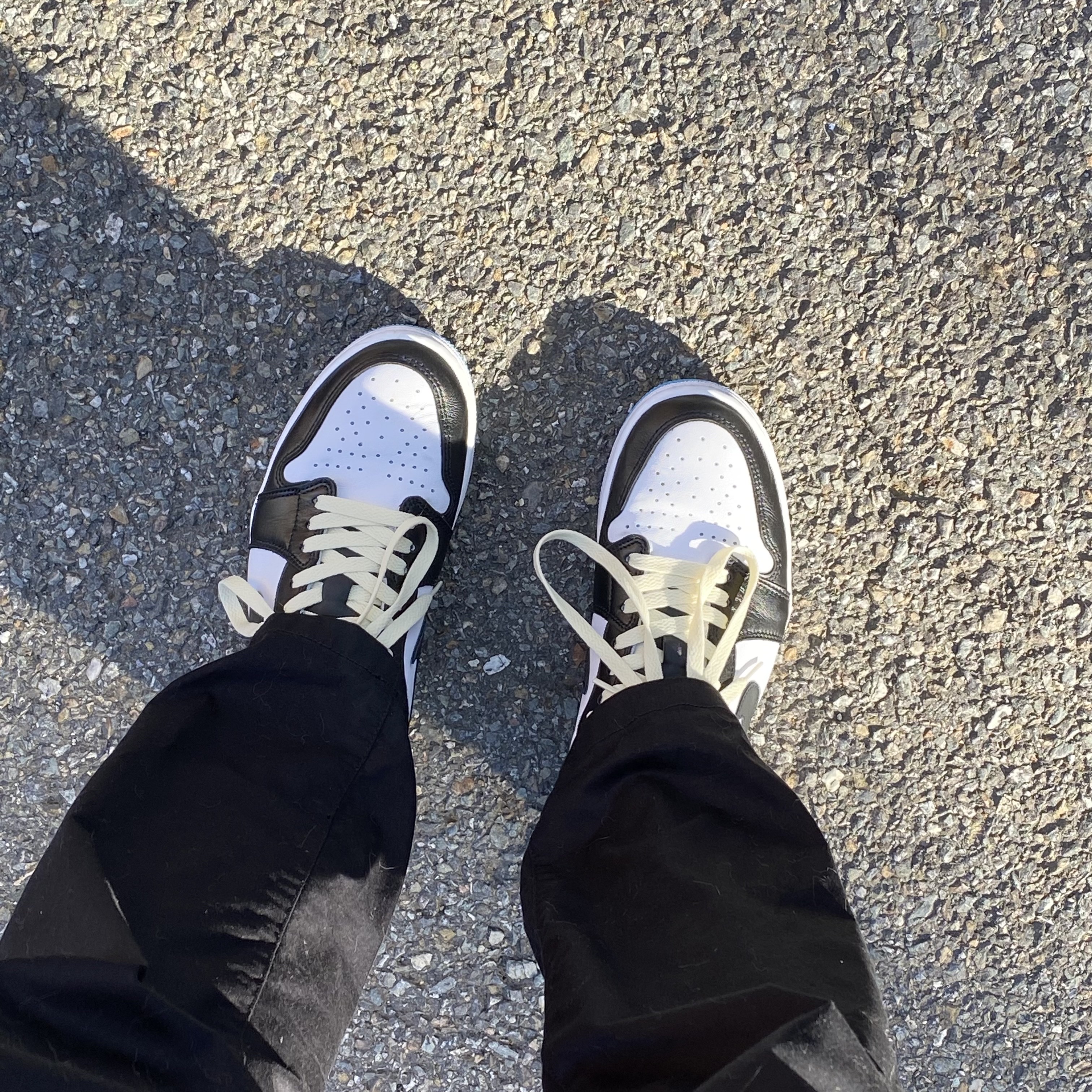 Jordan 1 Retro Low OG Black and Dark Powder Blue 착용 스타일 - 2