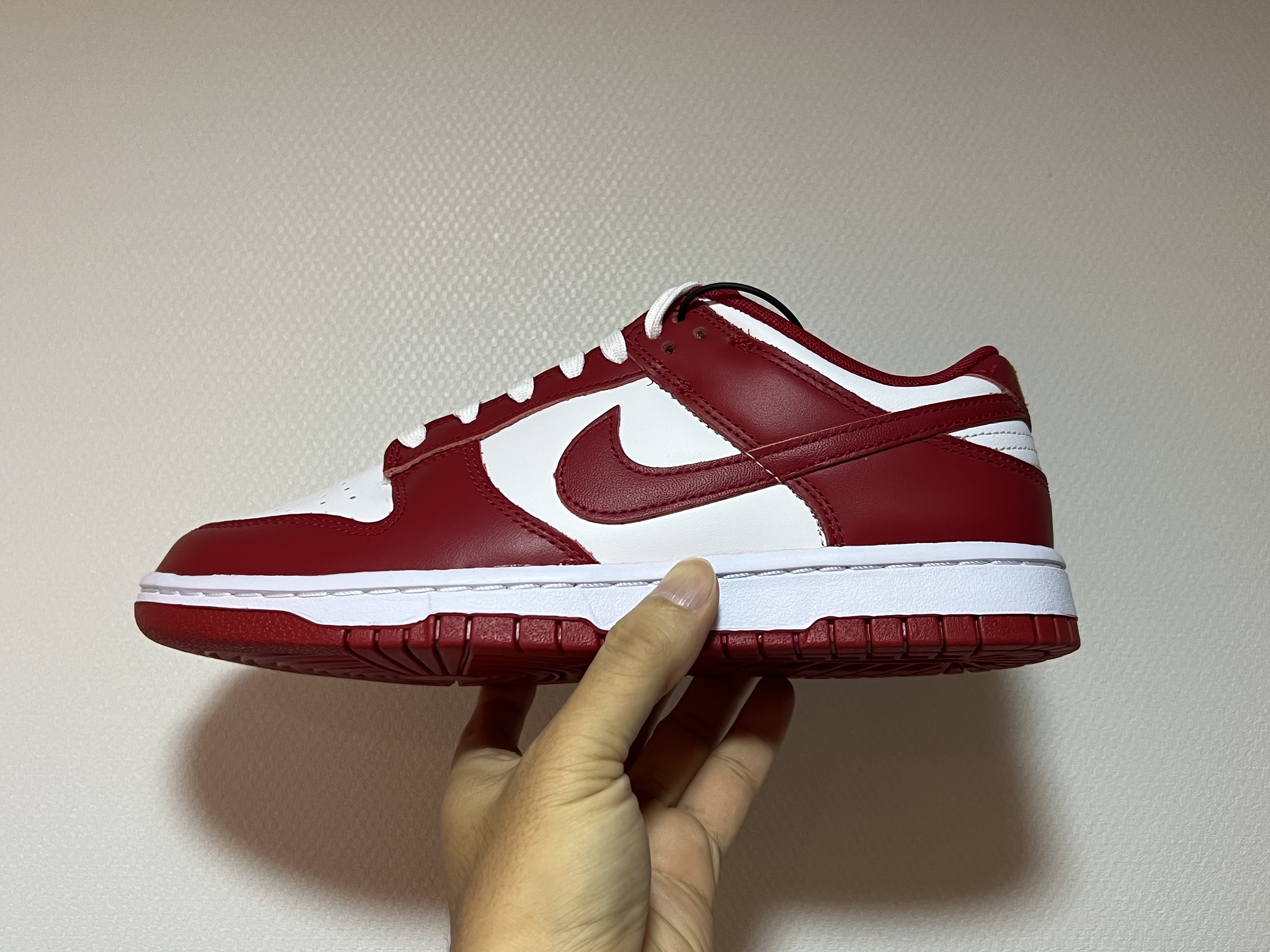 Nike Dunk Low Retro Gym Red 착용 스타일