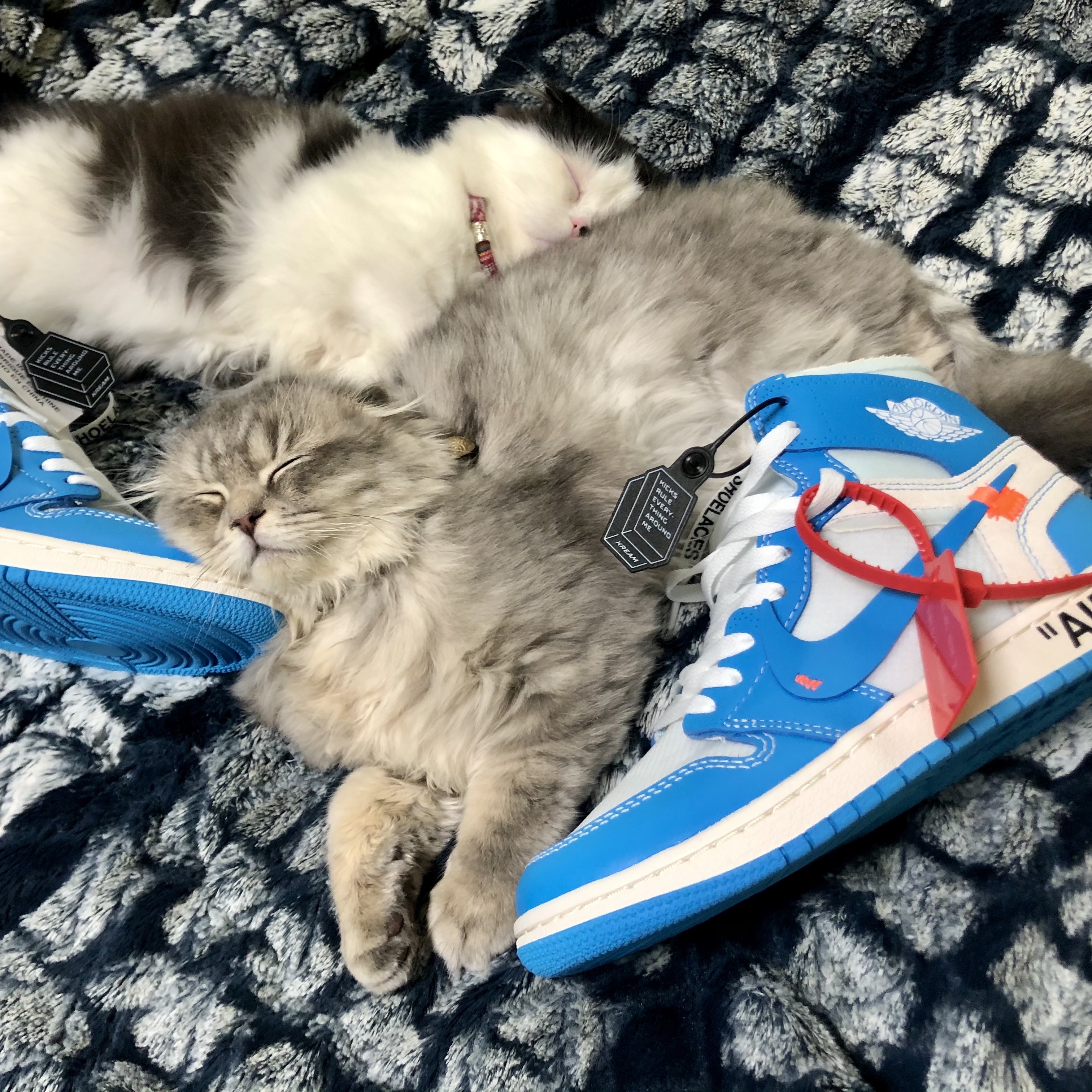 Jordan 1 x Off-White Retro High University Blue 착용 스타일 - 1
