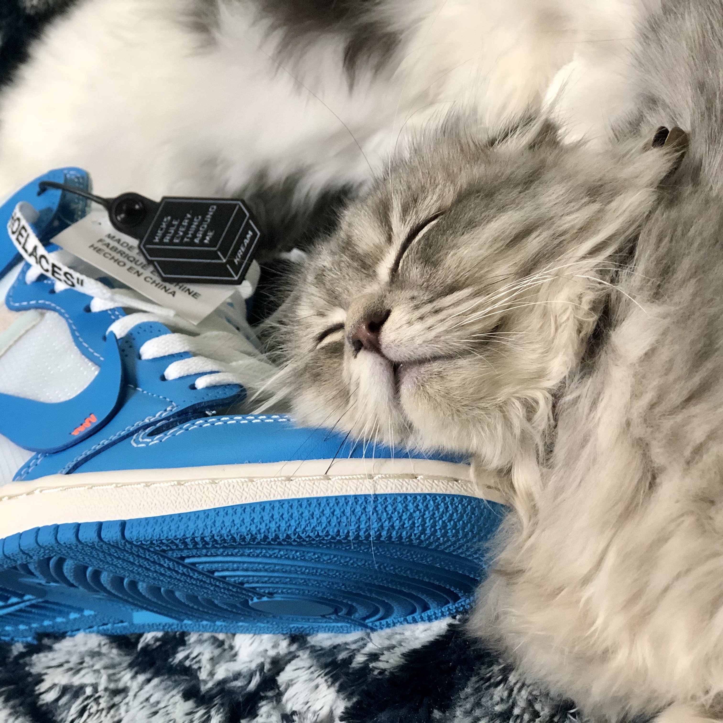 Jordan 1 x Off-White Retro High University Blue 착용 스타일 - 2