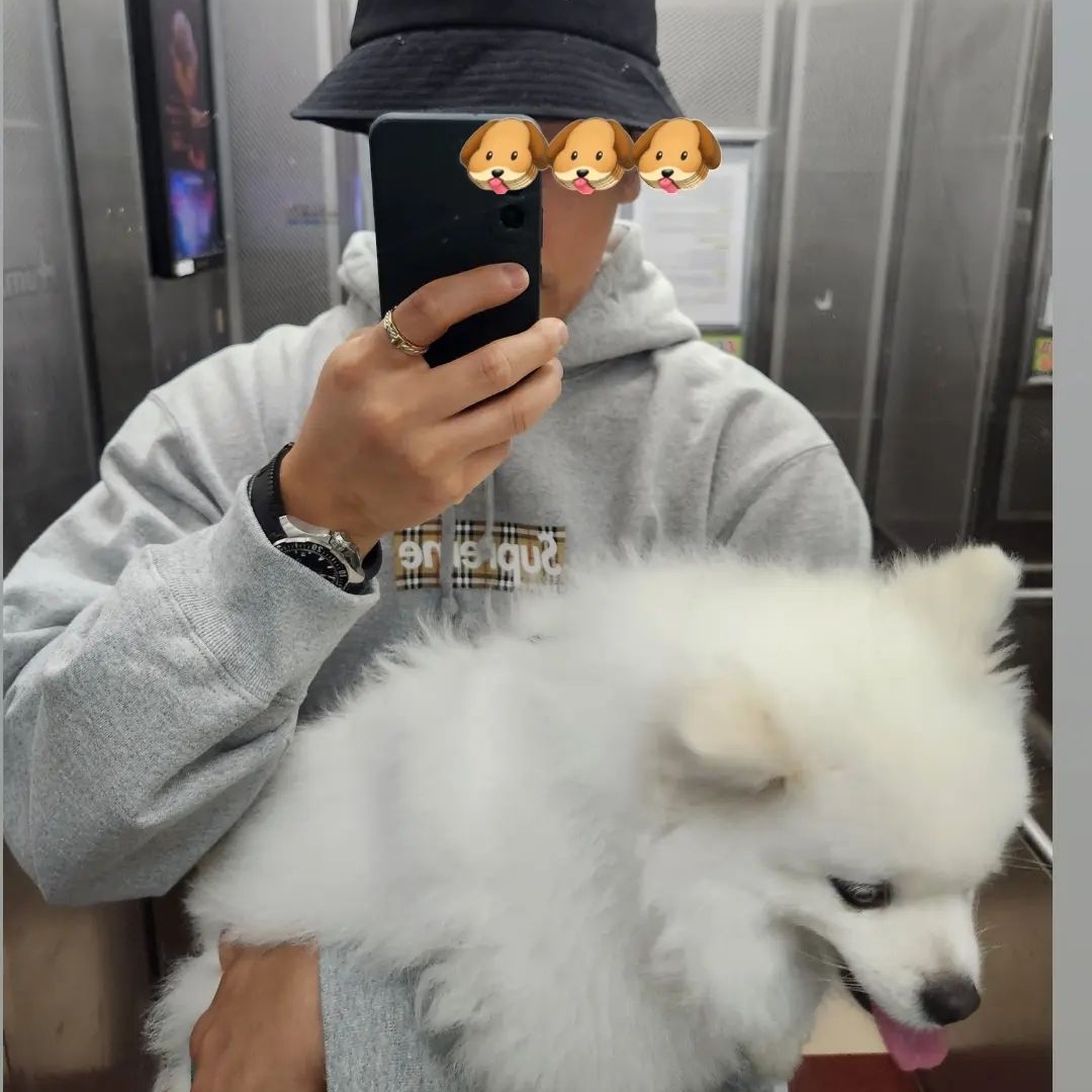 Supreme x Burberry Box Logo Hooded Sweatshirt Heather Grey - 22SS 착용 스타일