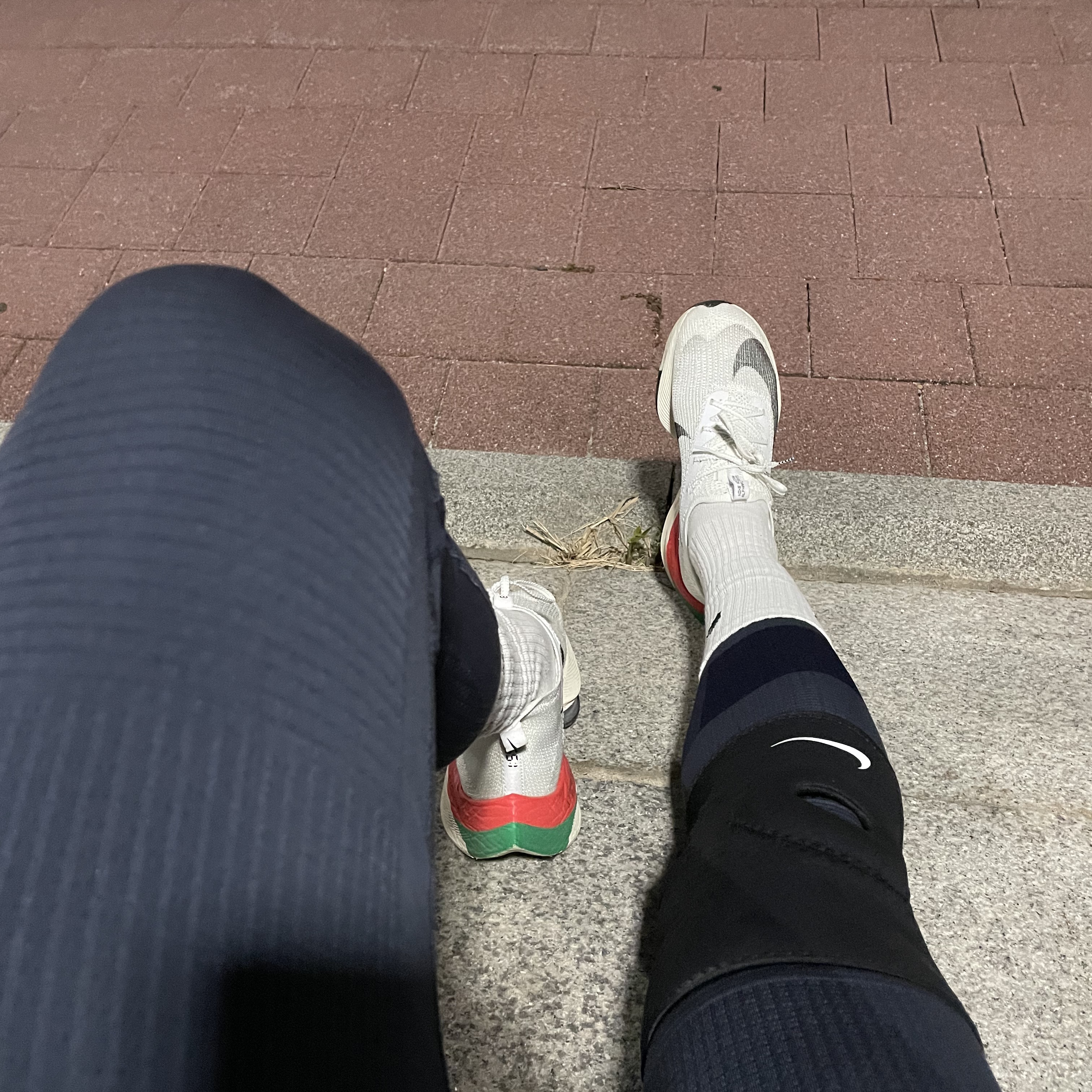 Nike Air Zoom Alphafly Next% Eliud Kipchoge Kenya, Nike Dunk Low Retro Black 착용 스타일 - 4