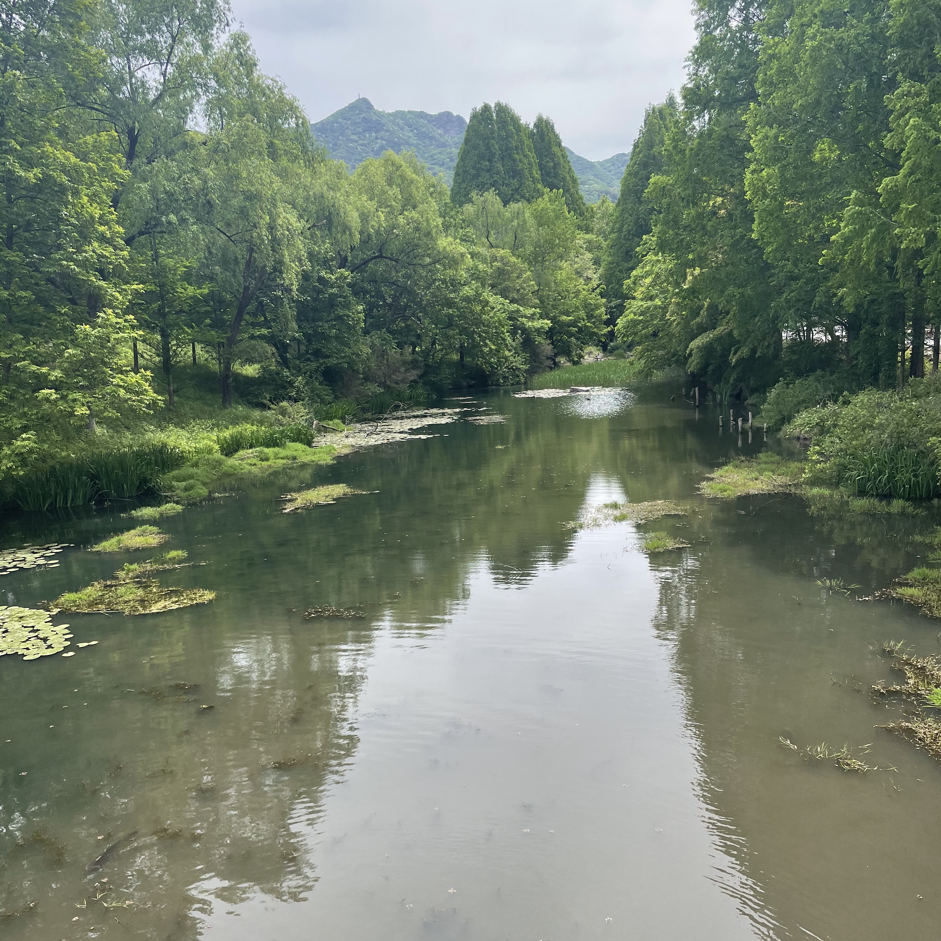 도덕경님의 스타일