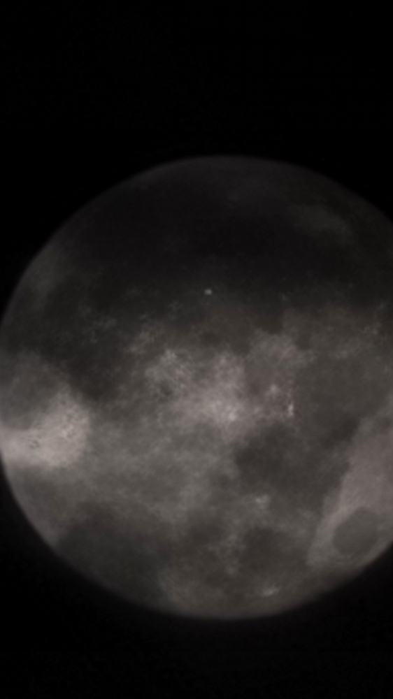 관심 유저 프로필 이미지