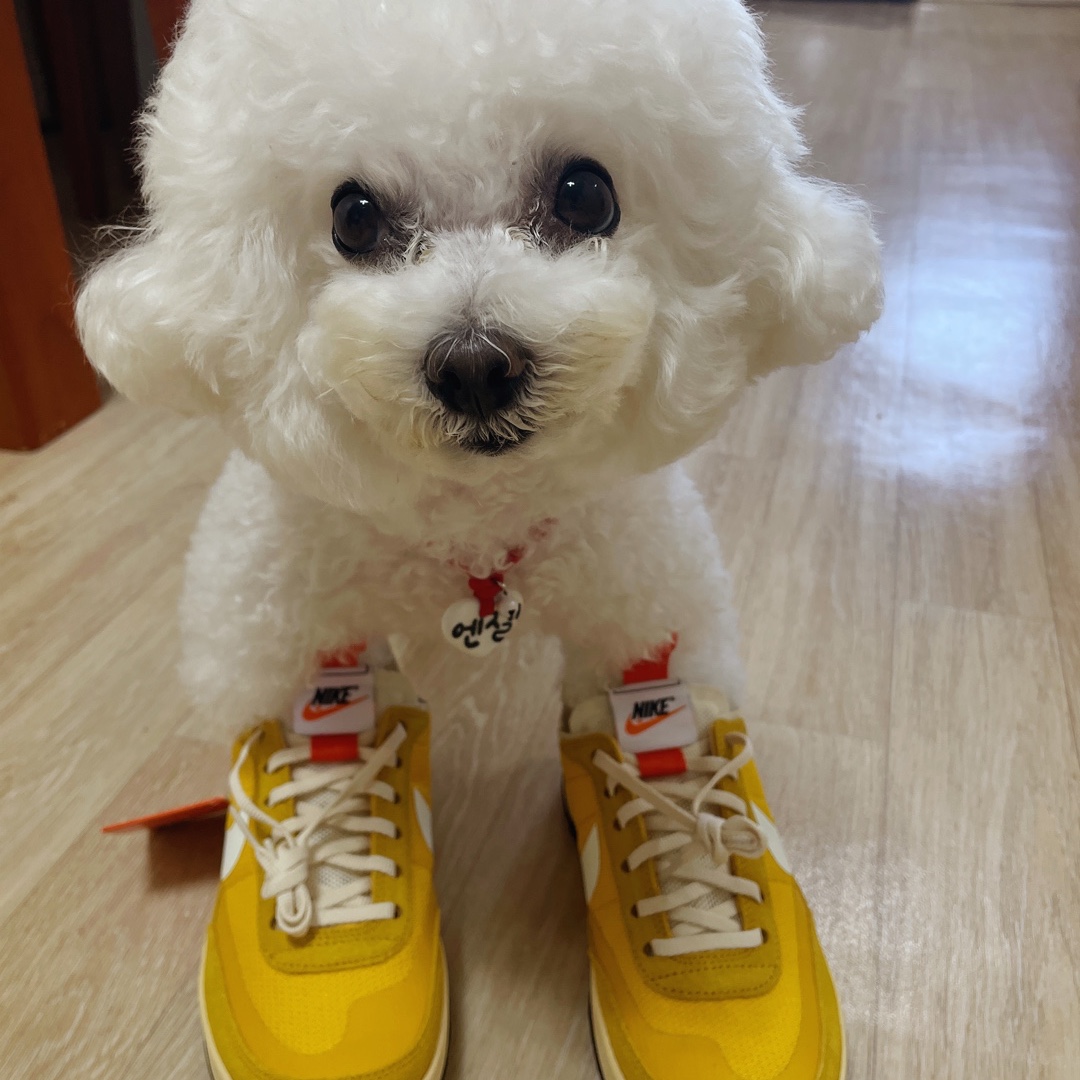 Nike x Tom Sachs General Purpose Shoe Archive 착용 스타일