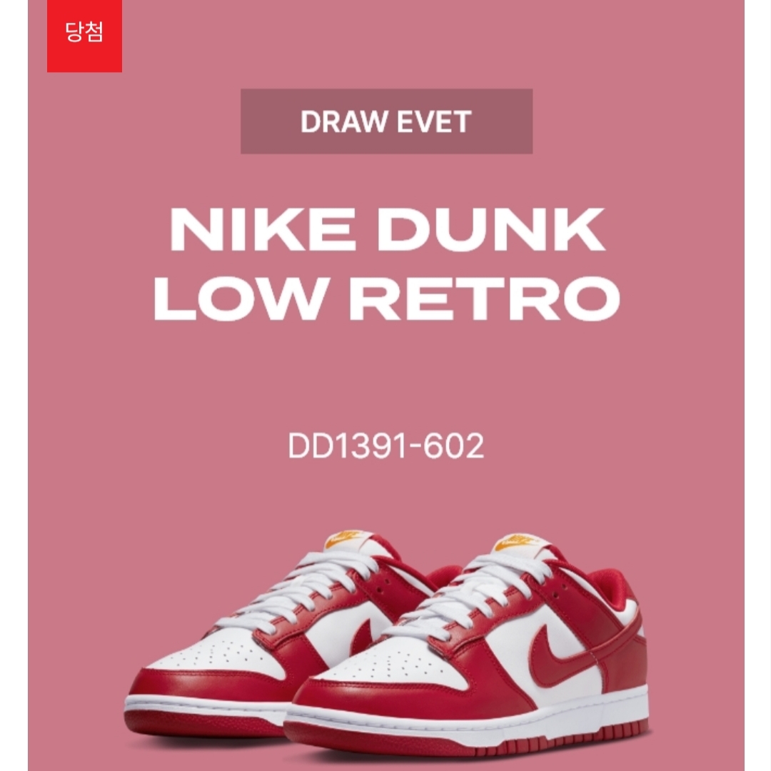 Nike Dunk Low Retro Gym Red 착용 스타일