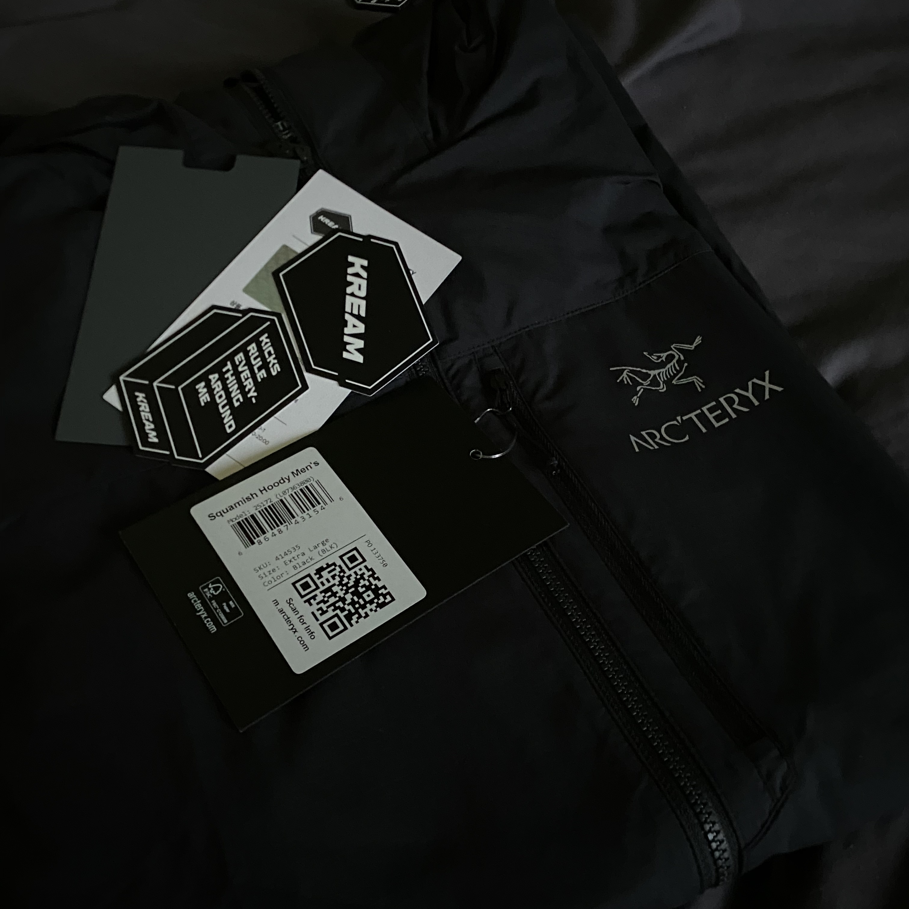 Arc'teryx Squamish Hoody Black 착용 스타일