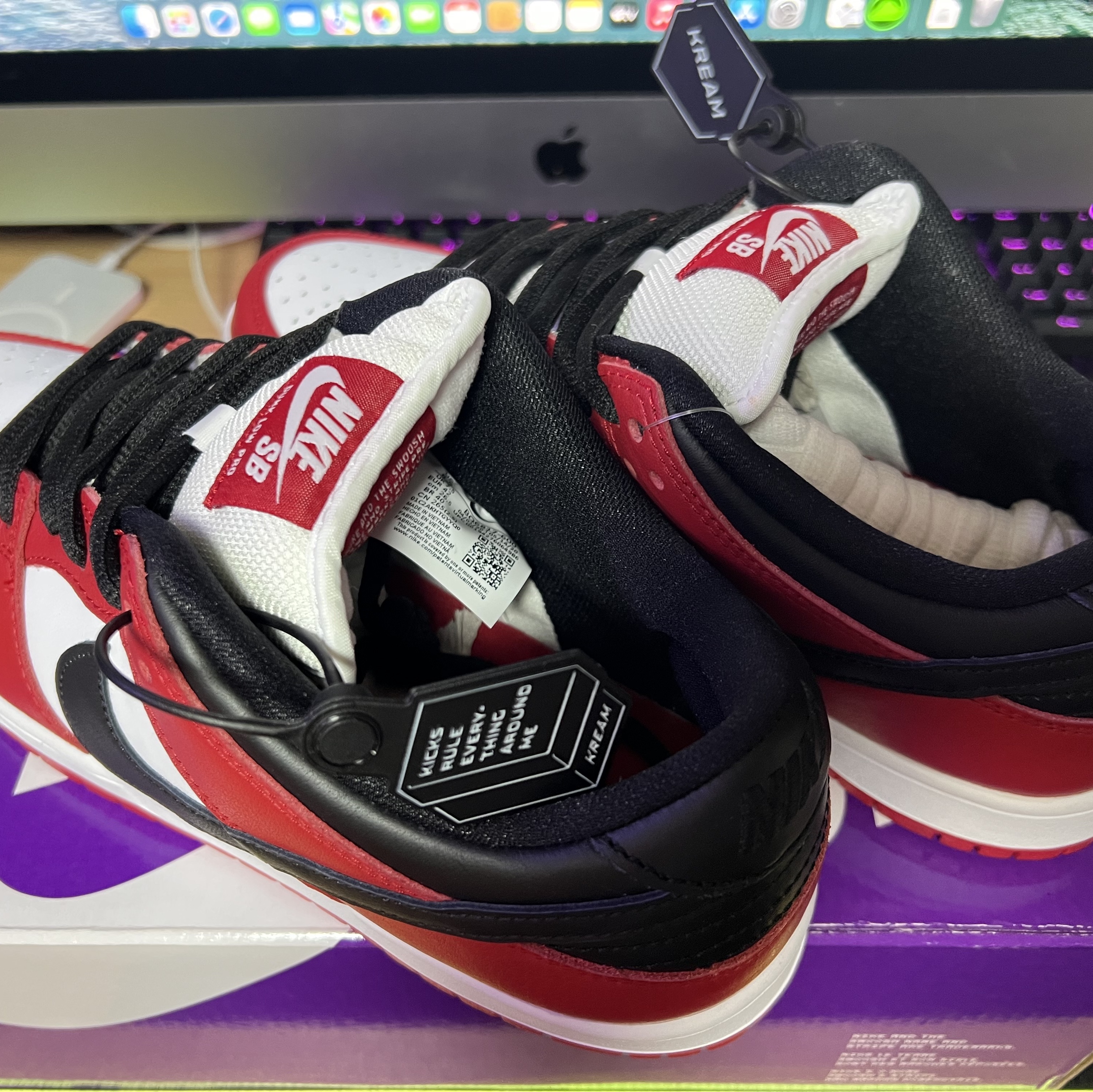 Nike SB Dunk Low Pro Chicago 착용 스타일 - 4