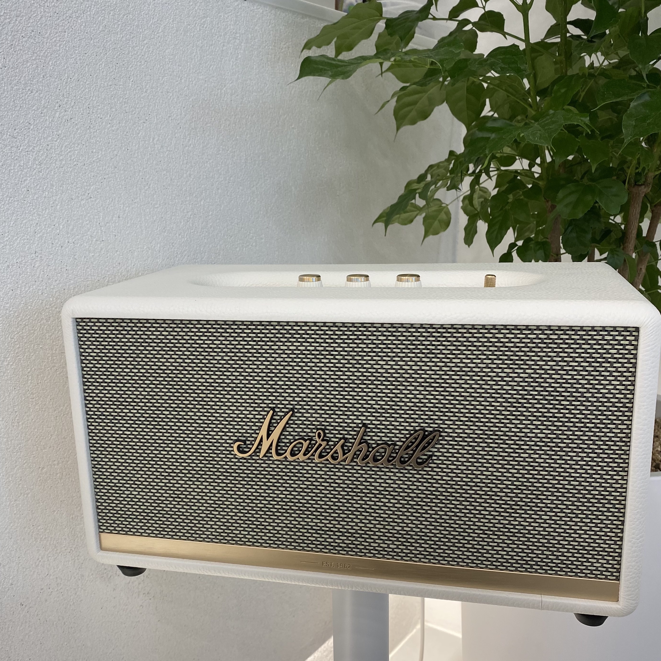 Marshall Stanmore II Bluetooth White (Korean Ver.) 착용 스타일 - 2