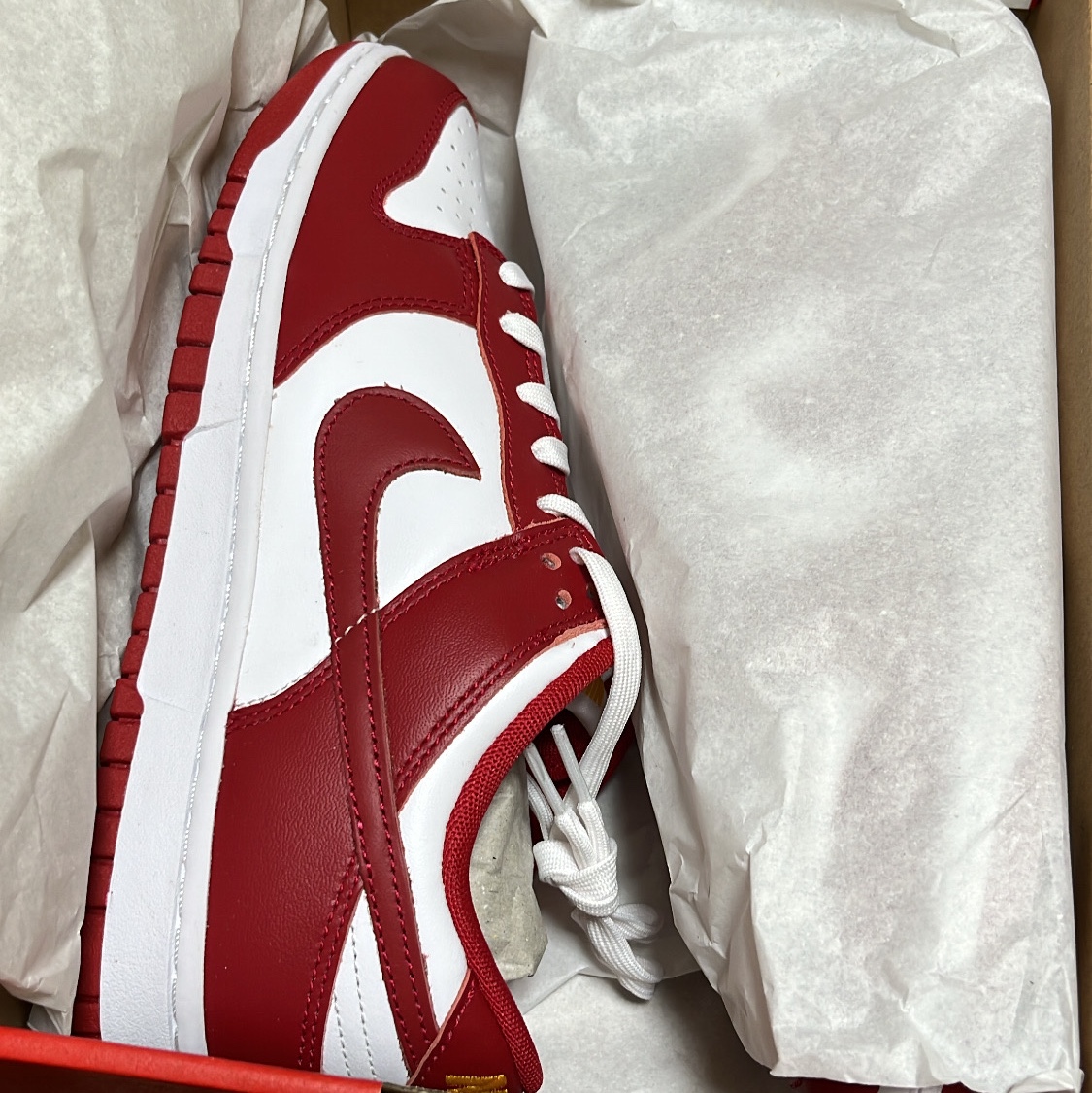 Nike Dunk Low Retro Gym Red 착용 스타일