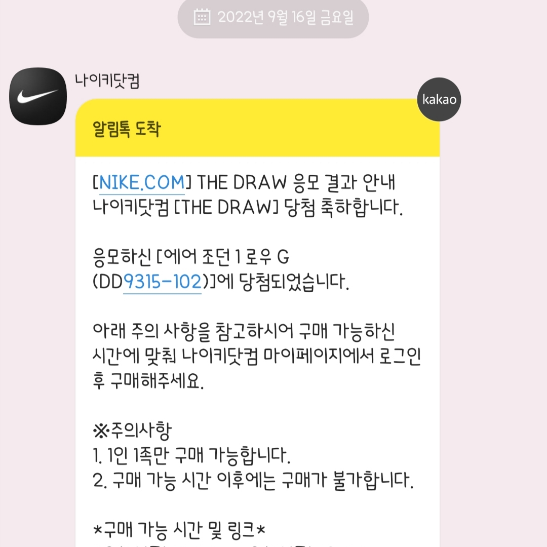 Jordan 1 Low Golf Sport Royal 착용 스타일
