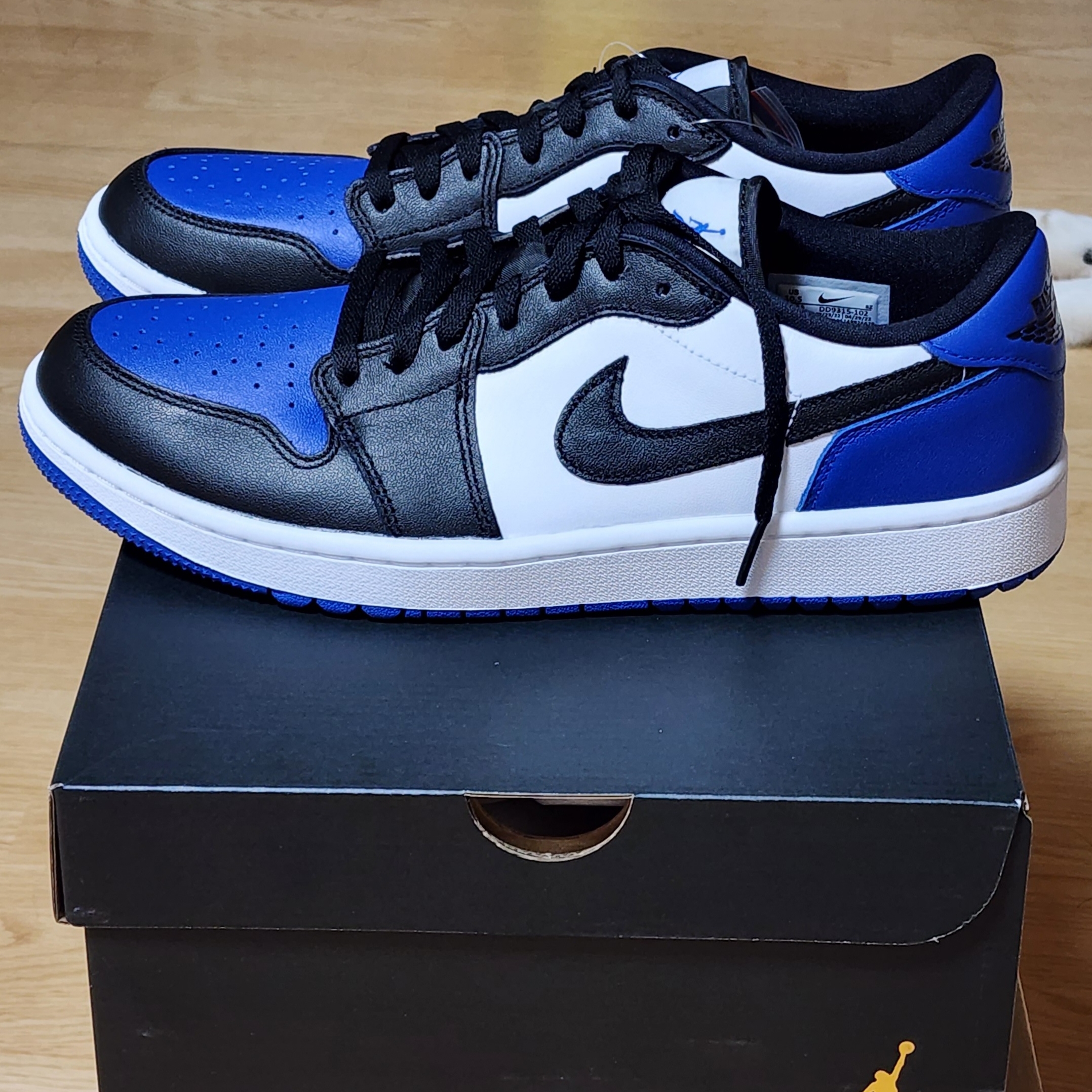 Jordan 1 Low Golf Sport Royal 착용 스타일 - 1