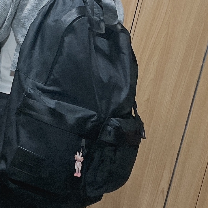 Kaws Tokyo First Accomplice Keychain Pink 착용 스타일