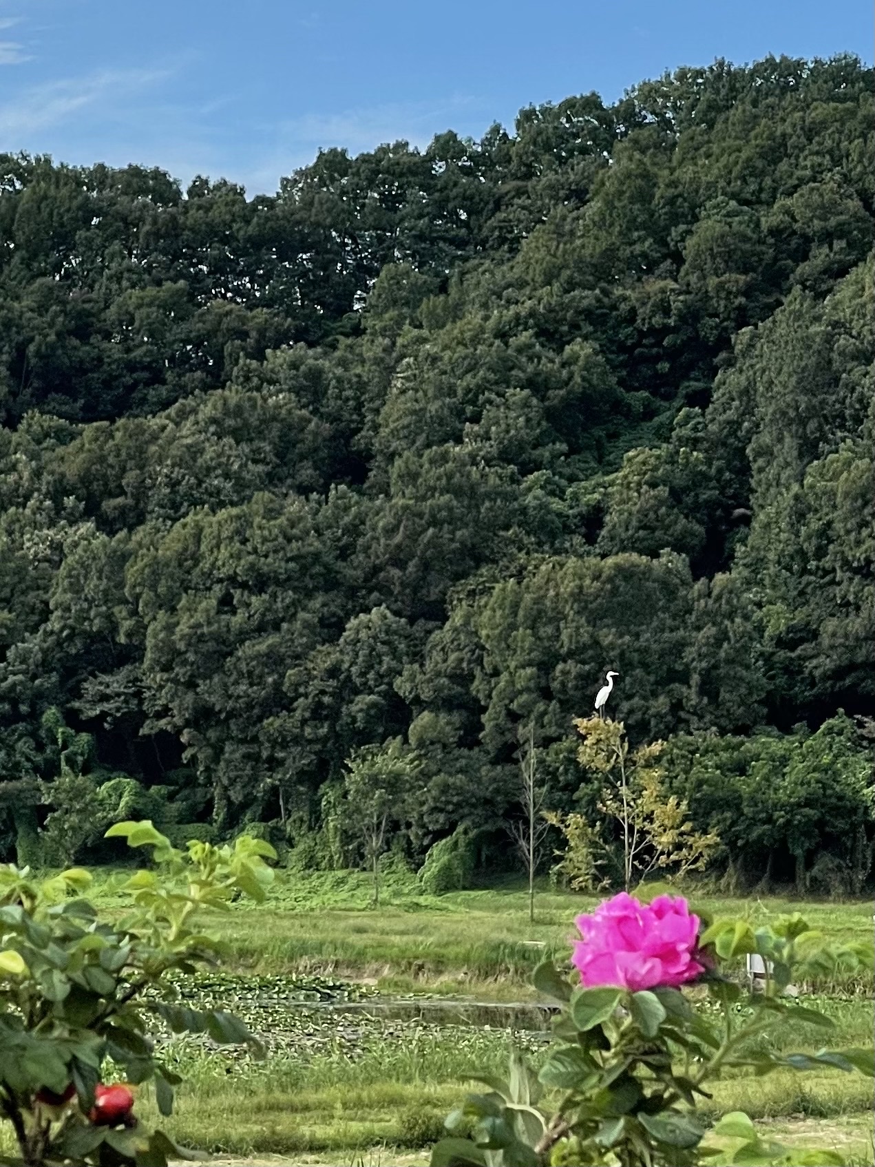 roybyroy님의 스타일 - 3