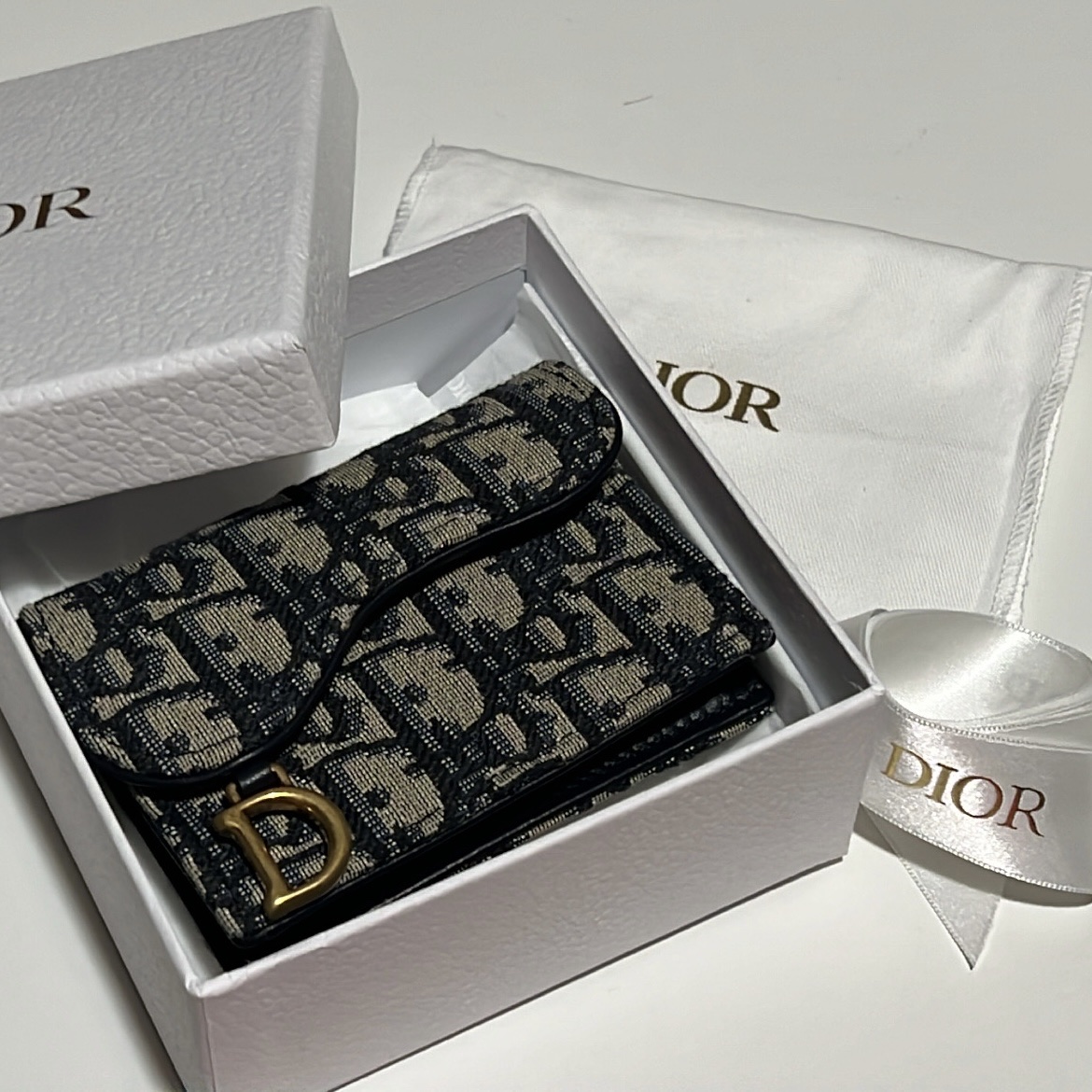 Dior Saddle Flap Card Holder Blue Dior Oblique Jacquard 착용 스타일