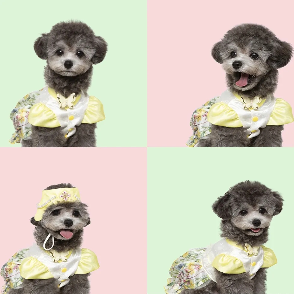 달이님의 스타일