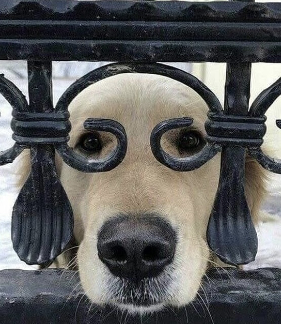 관심 유저 프로필 이미지