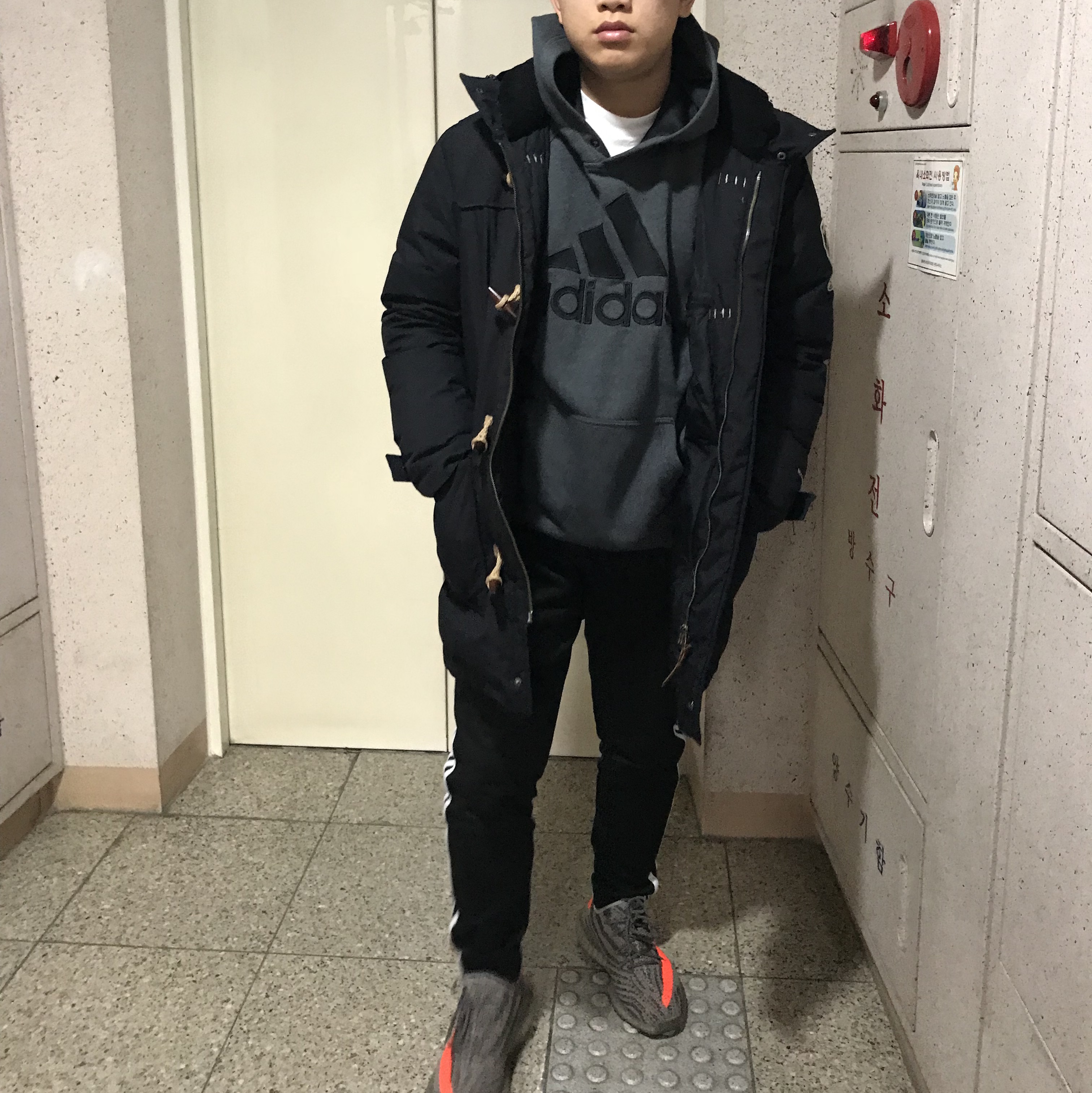 Adidas Yeezy Boost 350 V2 Beluga 착용 스타일