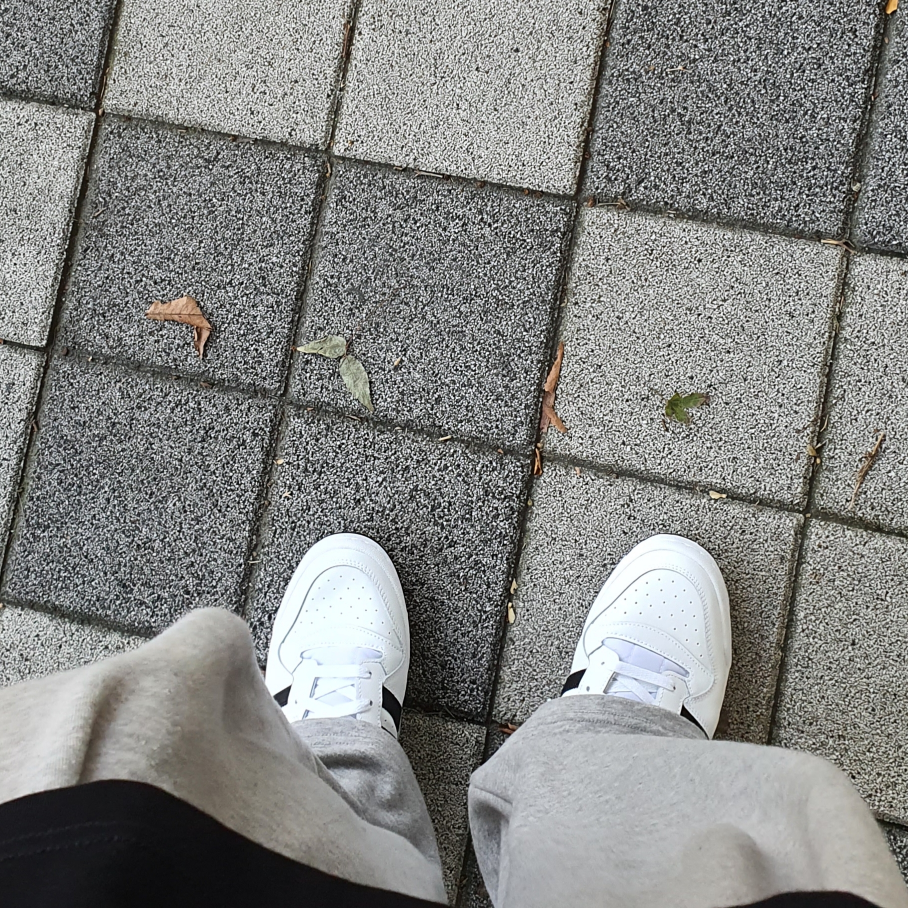 Adidas Forum Low White Black 착용 스타일