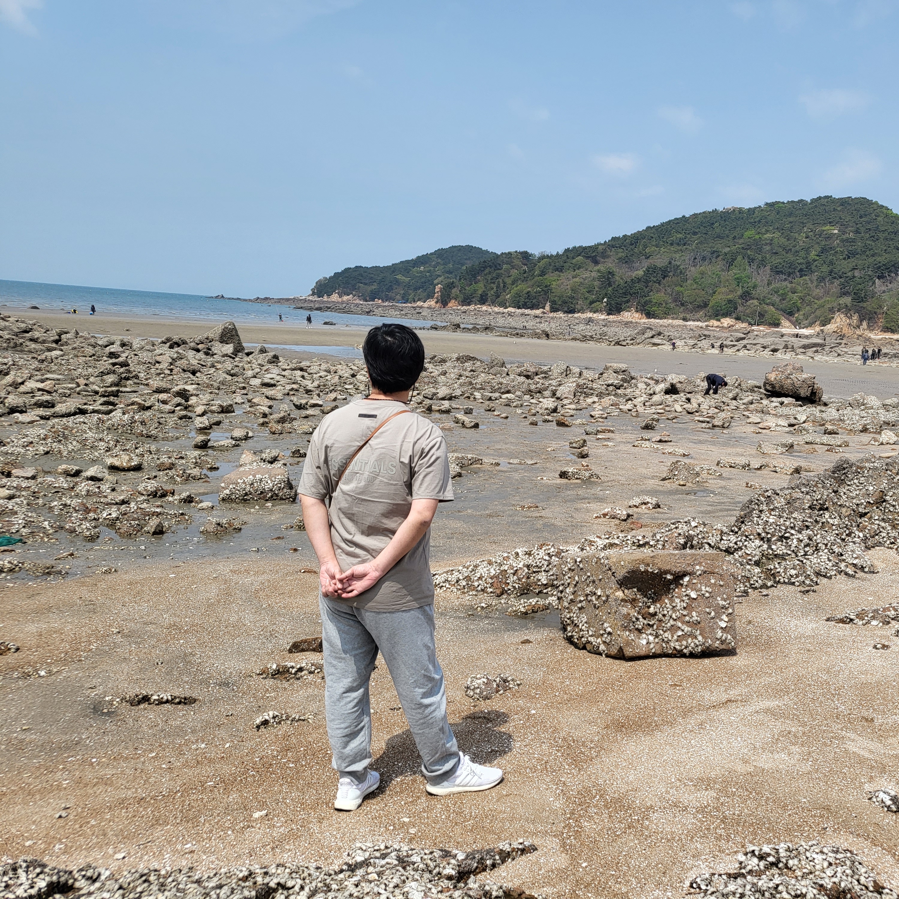Adidas Ultraboost 20 Triple White, Essentials T-Shirt Pistachio - 21FW 착용 스타일