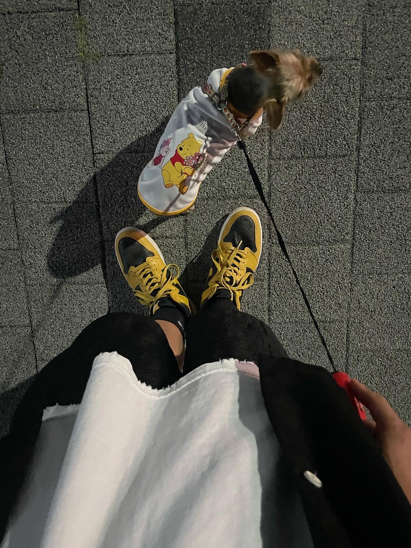 Jordan 1 Retro High OG Pollen 착용 스타일 - 3