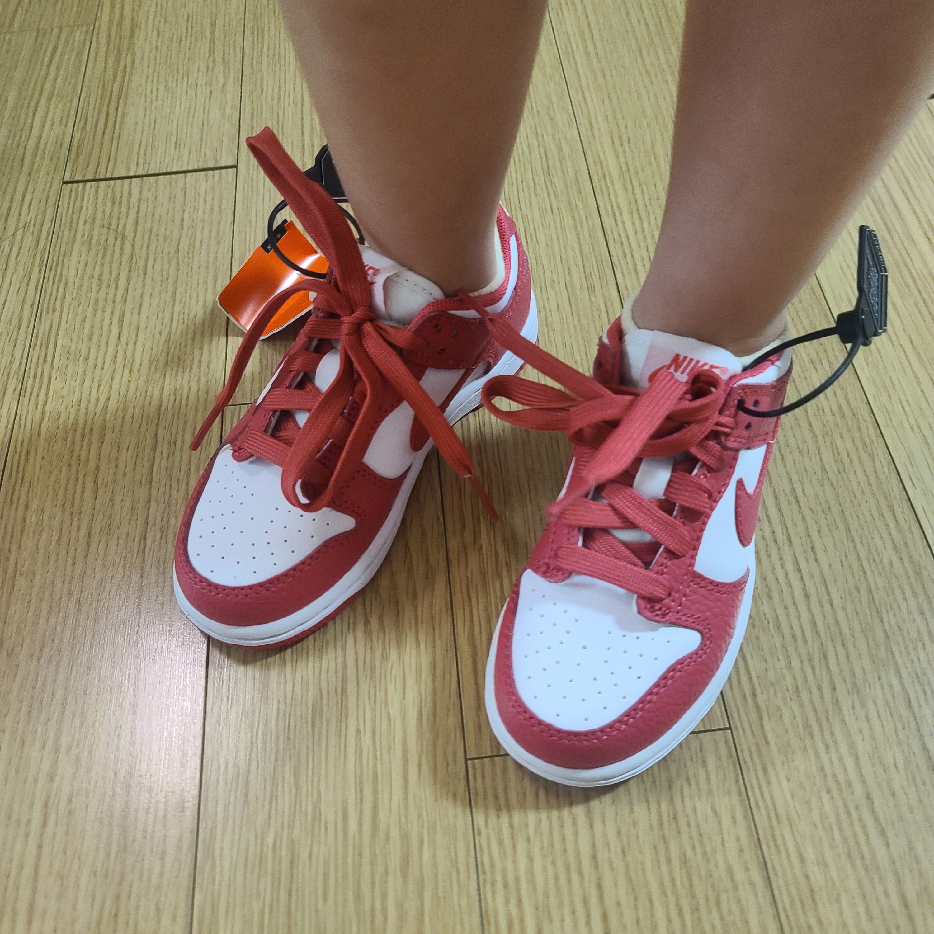 (PS) Nike Dunk Low Archeo Pink 착용 스타일