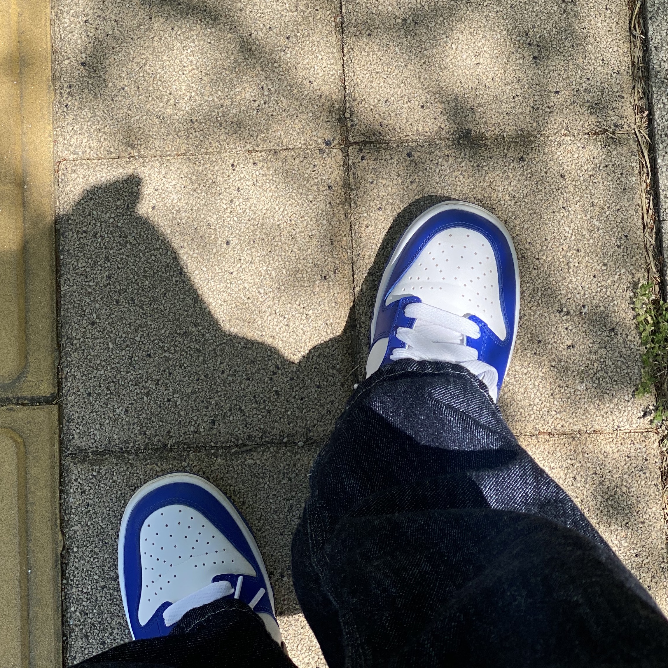 (GS) Nike Dunk Low Bright Crimson Game Royal 착용 스타일 - 3