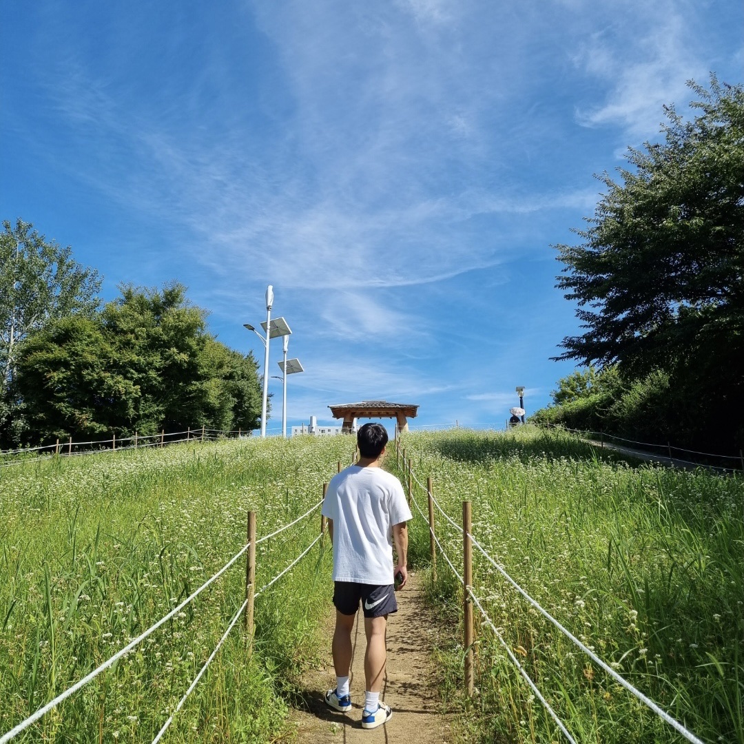 Jordan 1 x Travis Scott x Fragment Retro Low OG SP Military Blue, Nike x Stussy Water Shorts Off Noir 착용 스타일