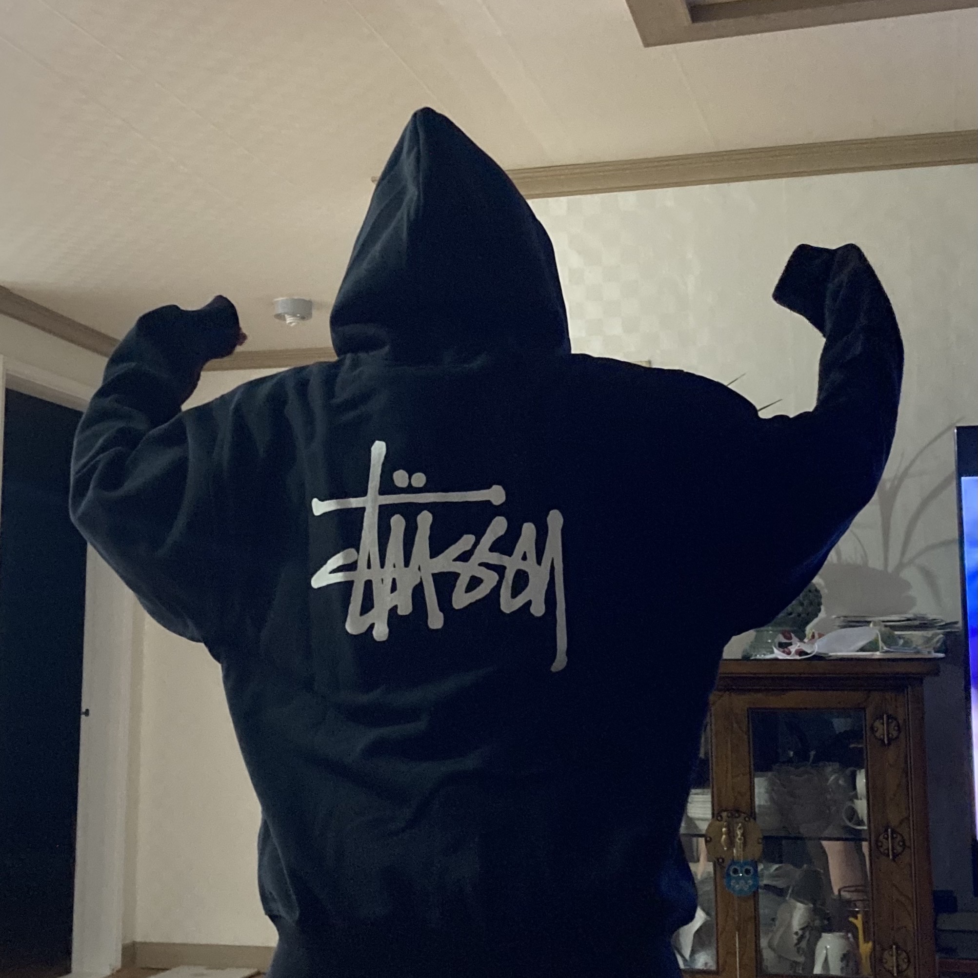 Stussy Basic Stussy Zip Hoodie Black 2022 착용 스타일