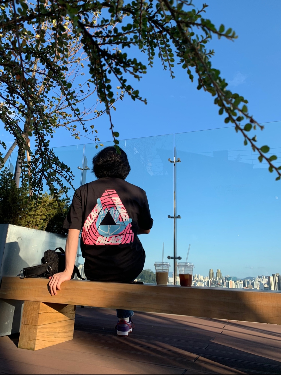 Palace Tri-Zooted Shakka T-Shirt Black - 20FW, Nike Dunk Low SP Plum 2020 착용 스타일