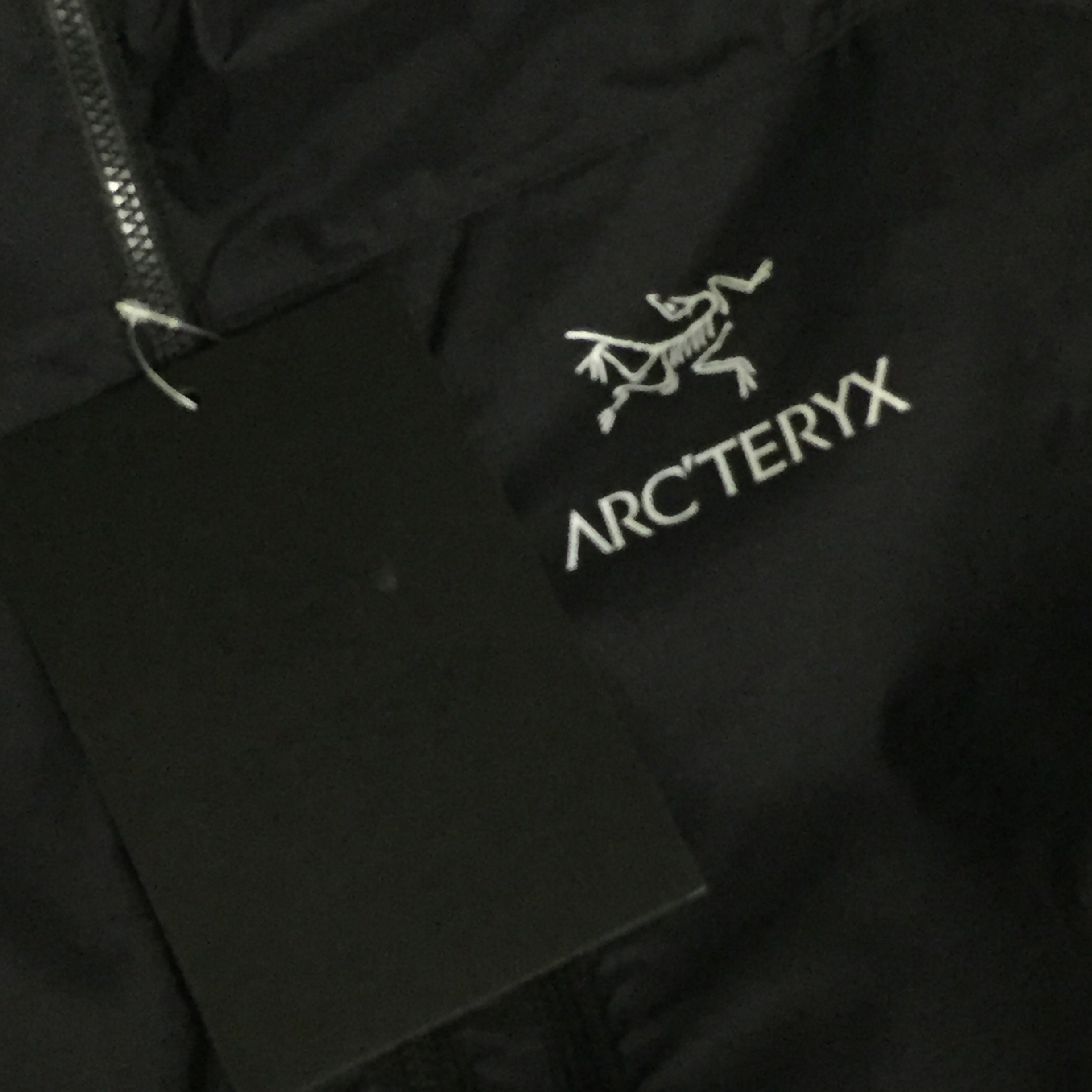 Arc'teryx Squamish Hoody Black 착용 스타일 - 1