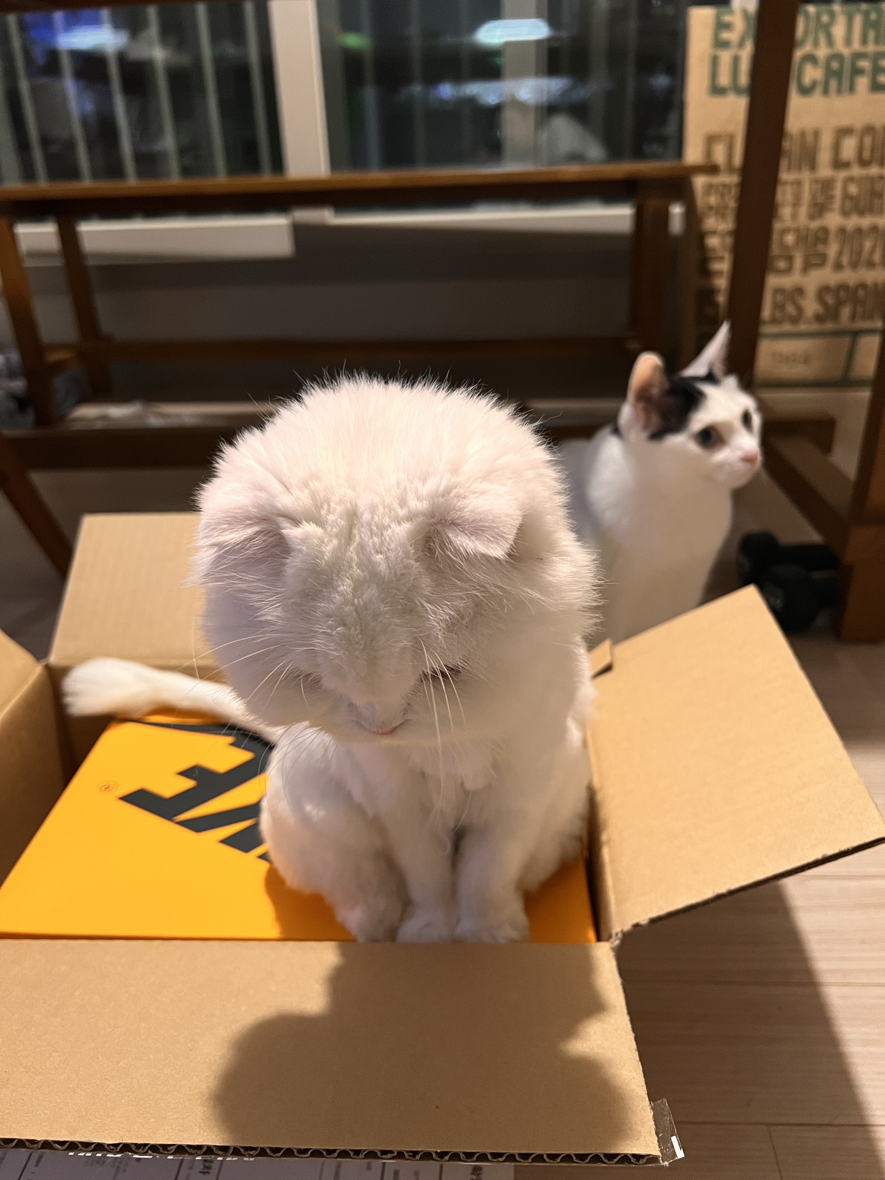 🥷님의 스타일