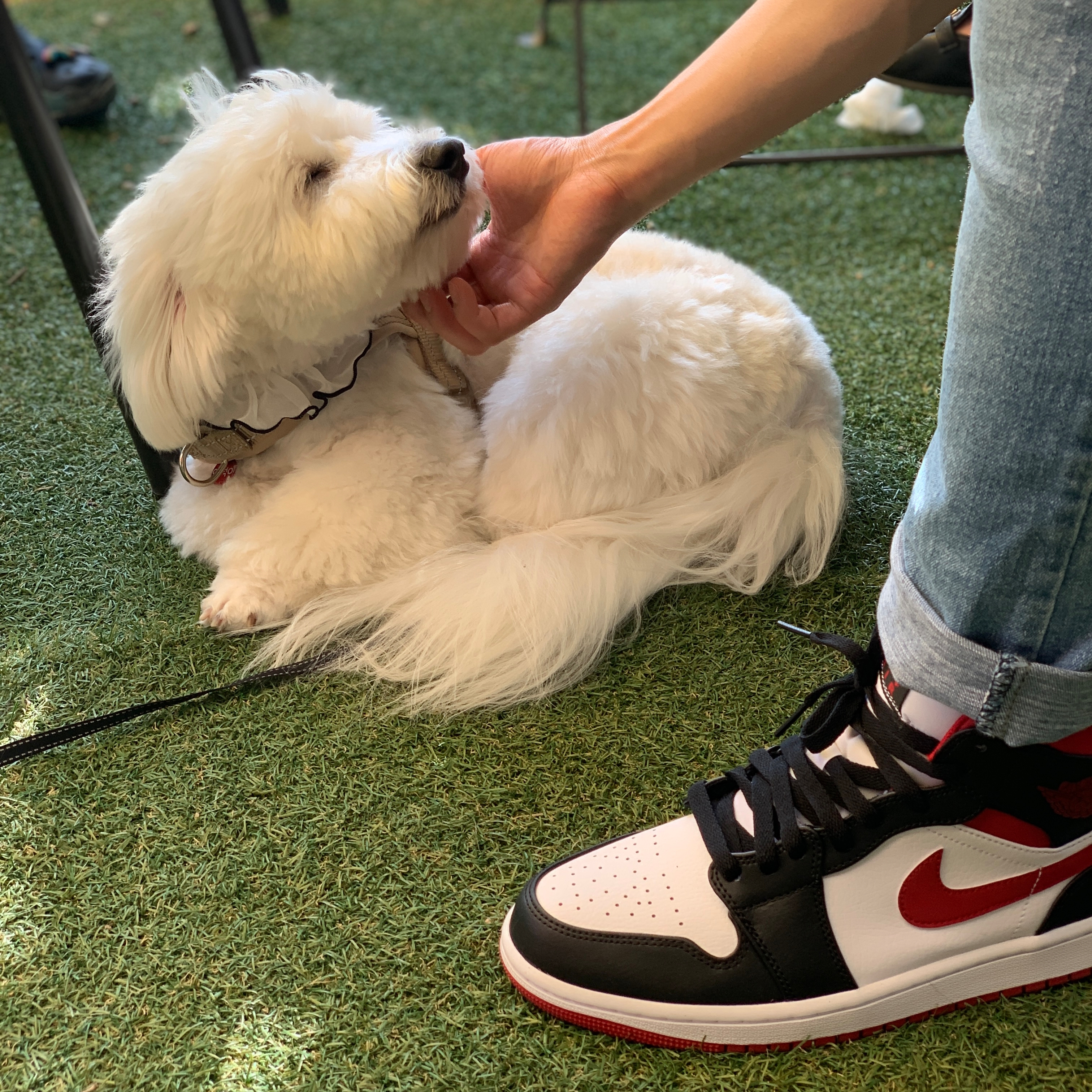 Jordan 1 Mid Gym Red Black White 착용 스타일 - 2